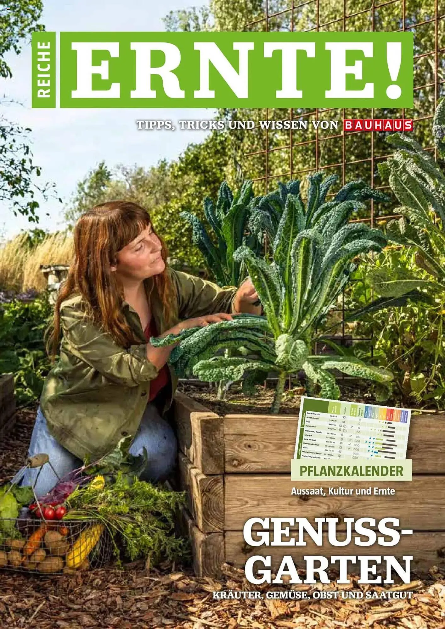 Bauhaus Flugblatt - 1