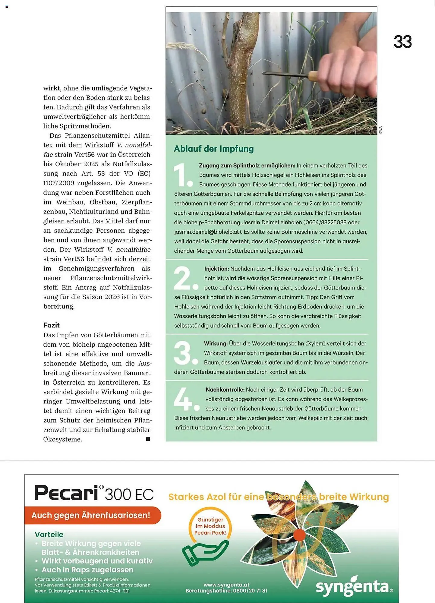 Lagerhaus Flugblatt von 2. März bis 31. März 2026 - Flugblätt seite 33