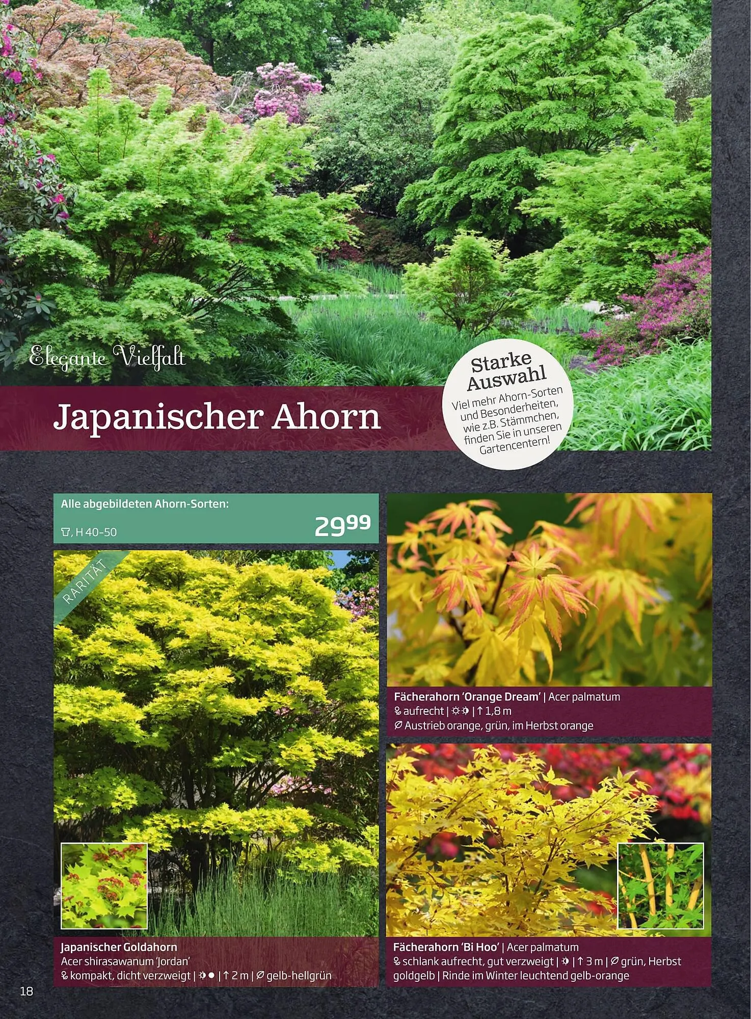 Starkl Flugblatt von 1. April bis 31. Dezember 2024 - Flugblätt seite 18