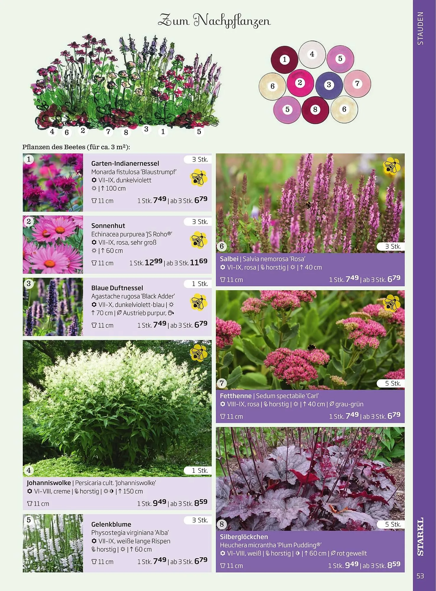 Starkl Flugblatt von 6. Juni bis 31. Dezember 2025 - Flugblätt seite  53