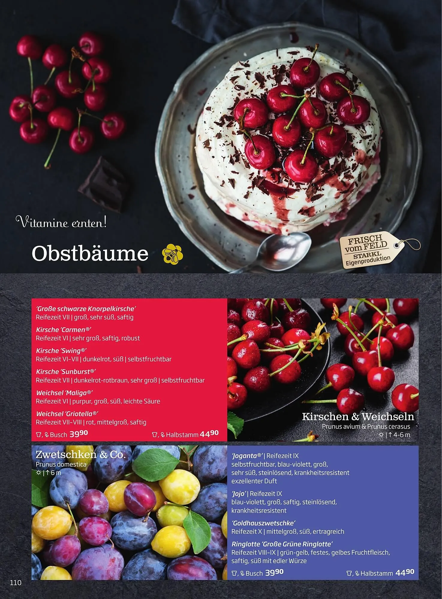 Starkl Flugblatt von 6. Juni bis 31. Dezember 2025 - Flugblätt seite 110