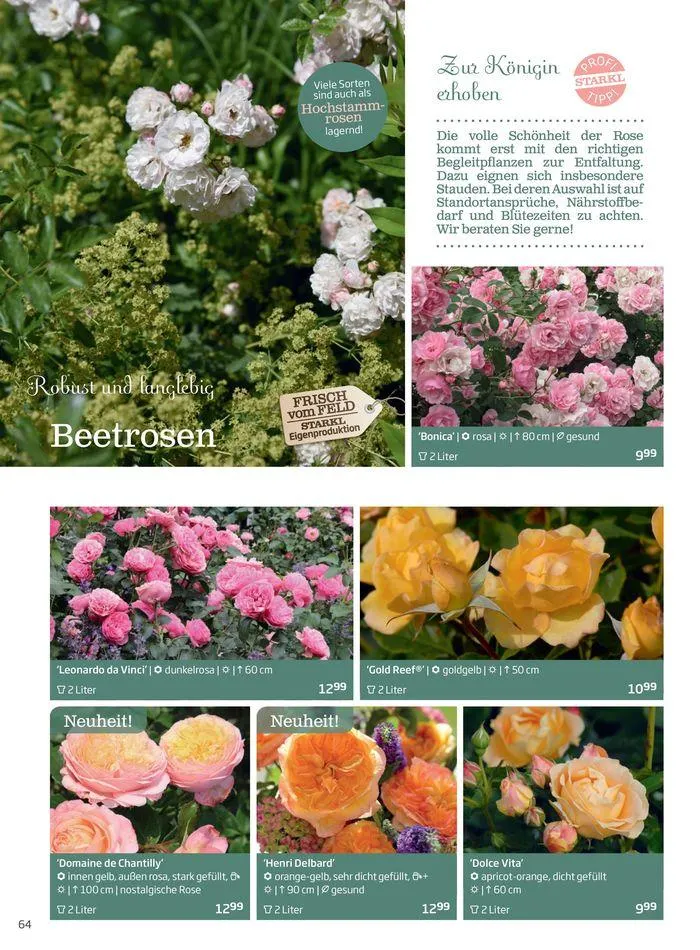 Gartencenter Jahreskatalog 2024 von 20. Mai bis 31. Dezember 2024 - Flugblätt seite 64