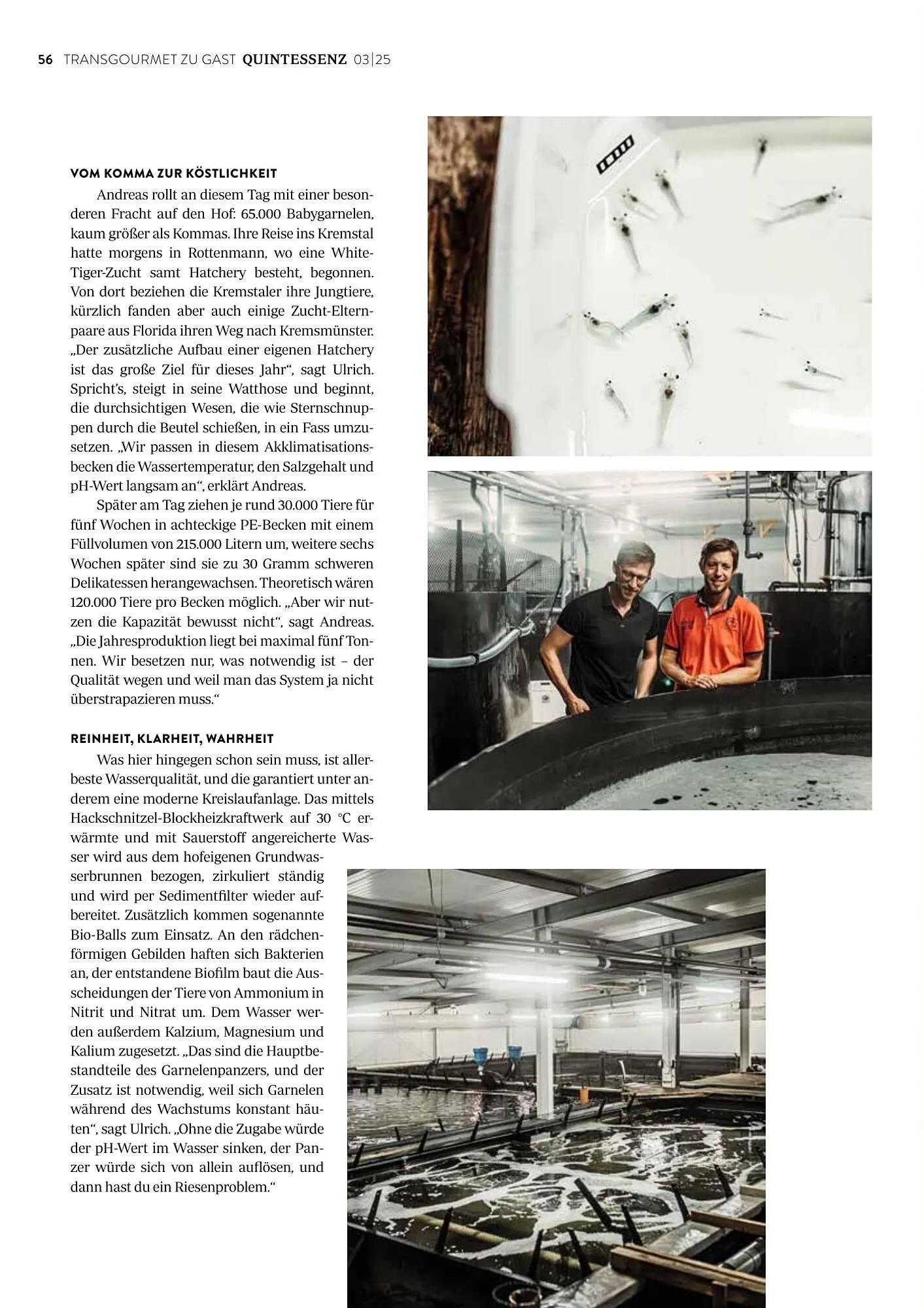 Transgourmet Flugblatt von 1. September bis 30. November 2025 - Flugblätt seite 58