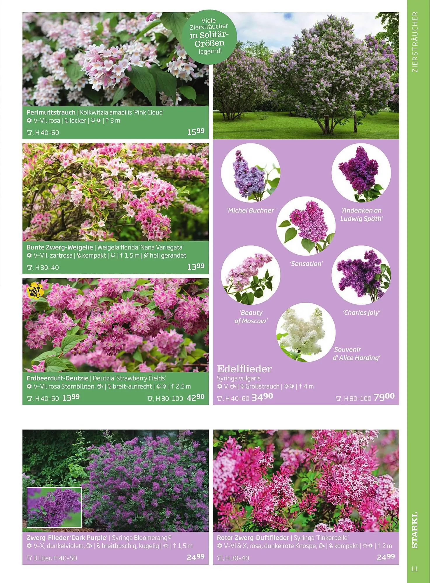 Starkl Flugblatt von 1. April bis 31. Dezember 2024 - Flugblätt seite 11