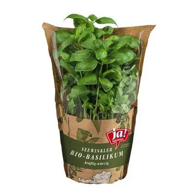 Ja! Natürlich Kräutertopf Basilikum
