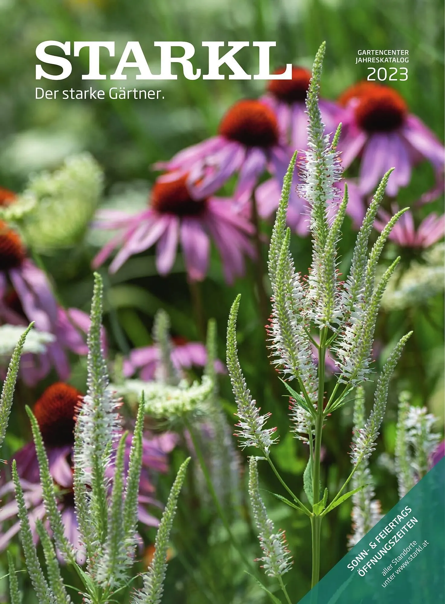 Starkl Flugblatt - 1