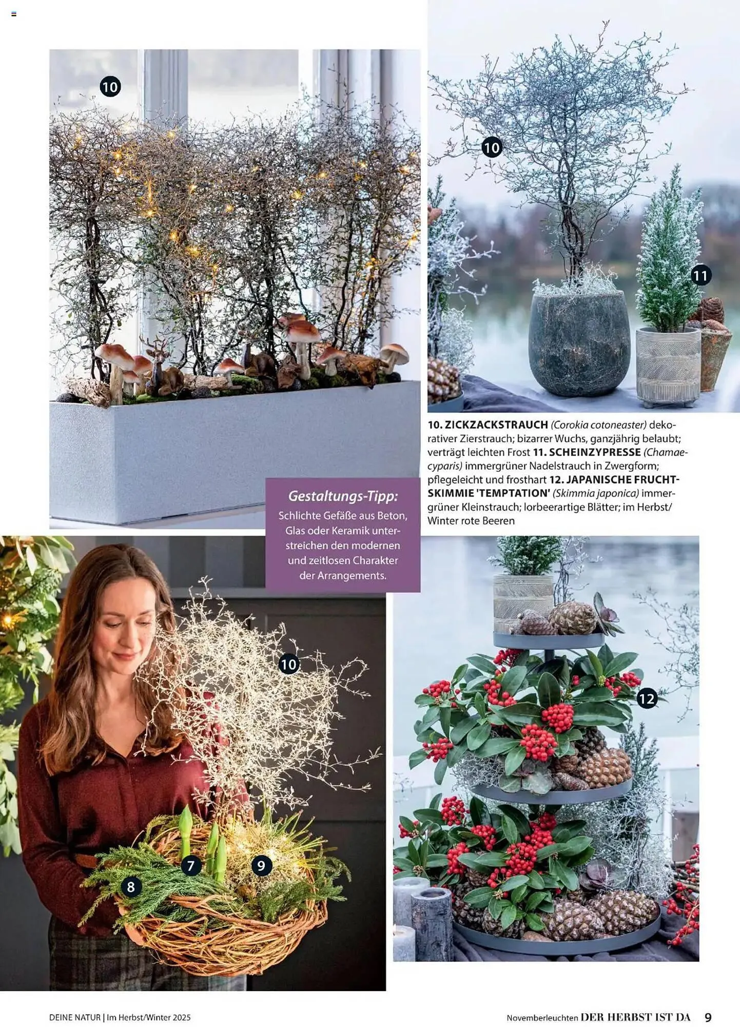 Dehner Flugblatt von 10. Oktober bis 30. November 2025 - Flugblätt seite 9