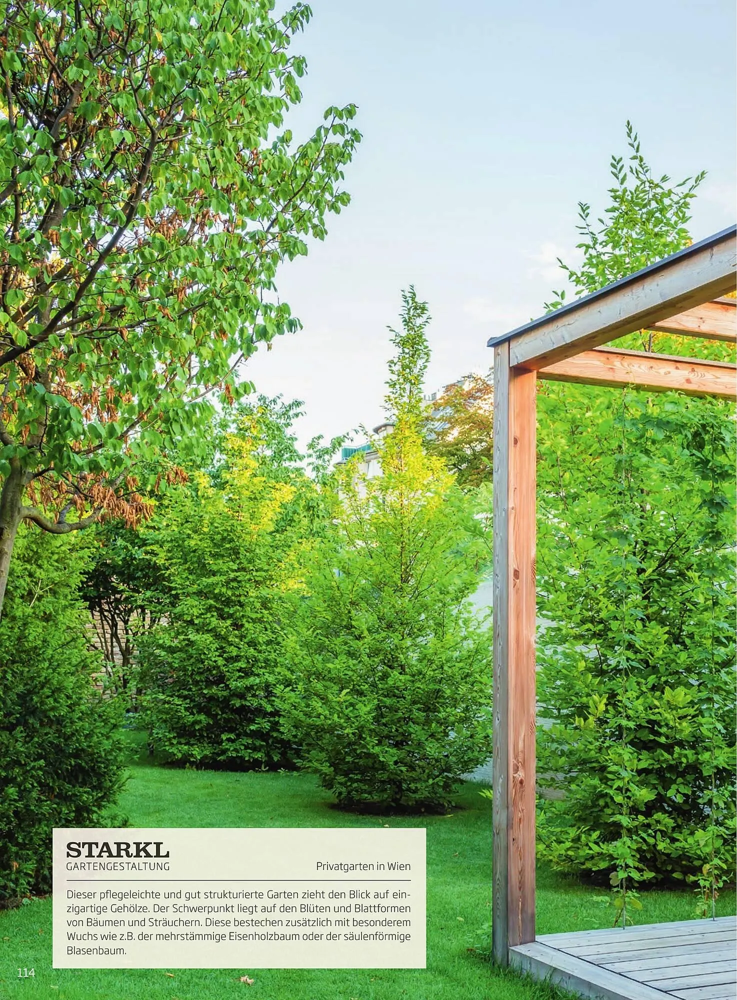 Starkl Flugblatt von 6. Juni bis 31. Dezember 2025 - Flugblätt seite 114