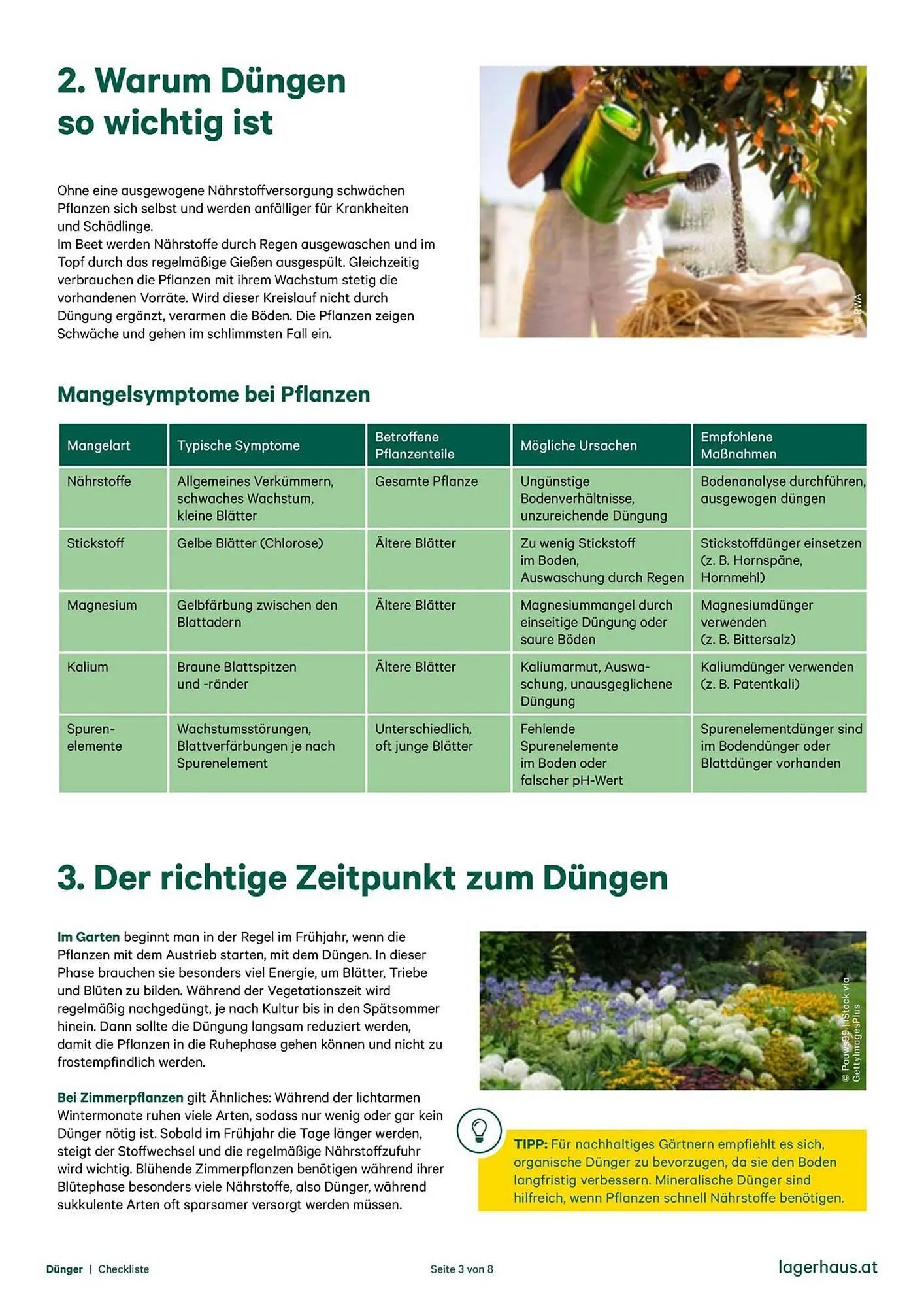 Lagerhaus Graz Land Flugblatt von 19. Dezember bis 25. Dezember 2025 - Flugblätt seite  3