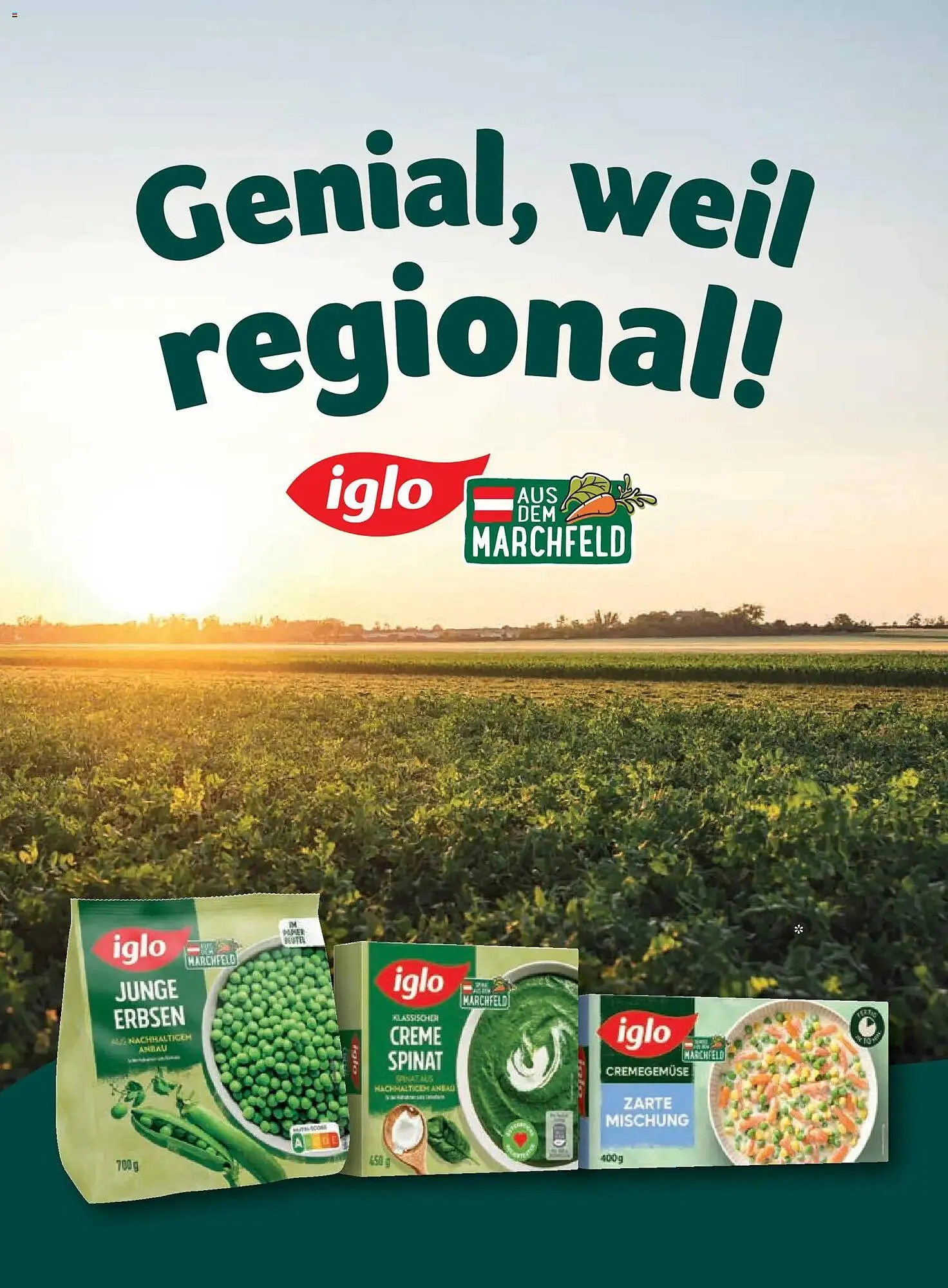 Billa Flugblatt von 1. Jänner bis 28. Februar 2026 - Flugblätt seite  102