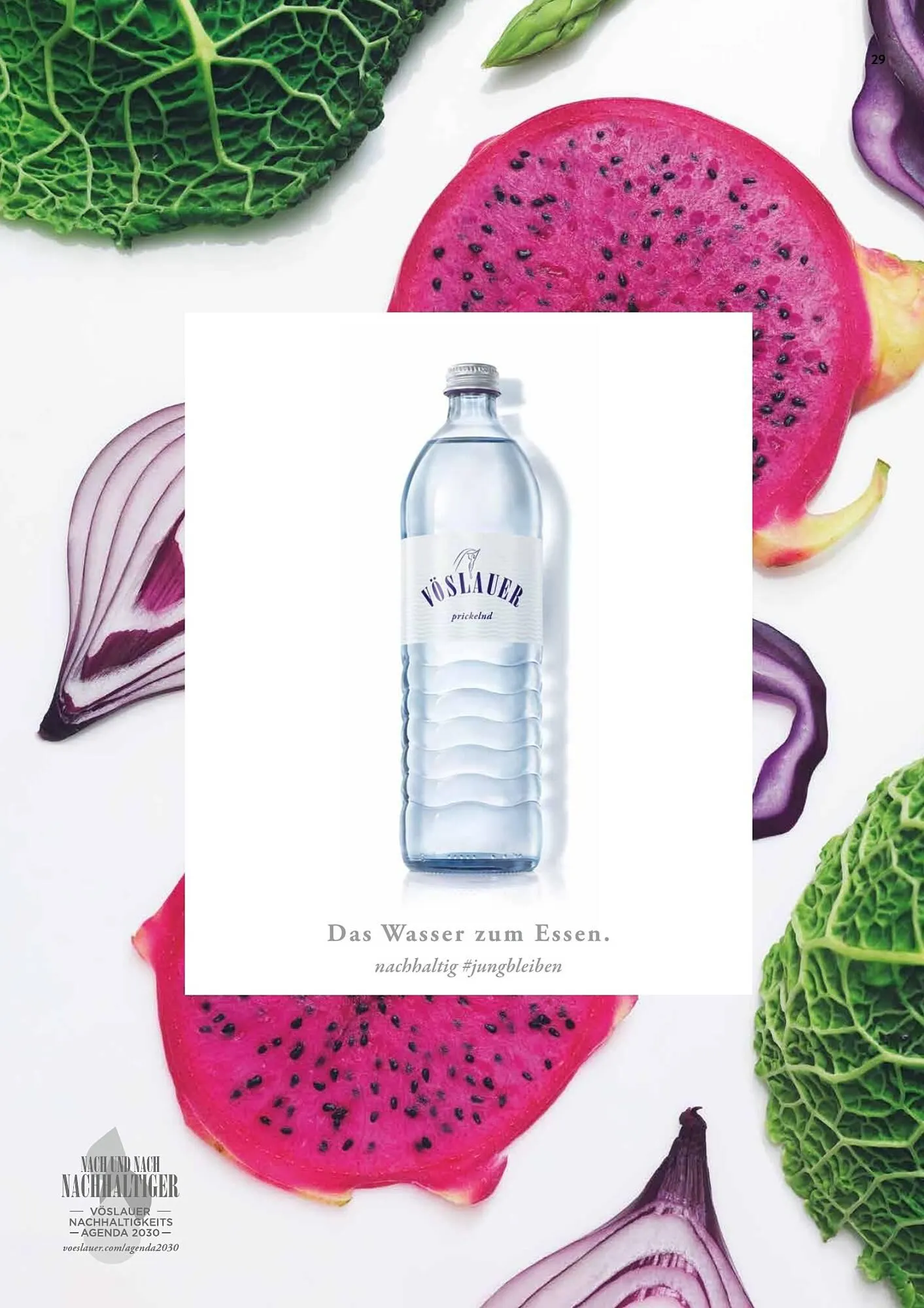 Transgourmet Flugblatt von 13. November bis 31. Dezember 2025 - Flugblätt seite  31