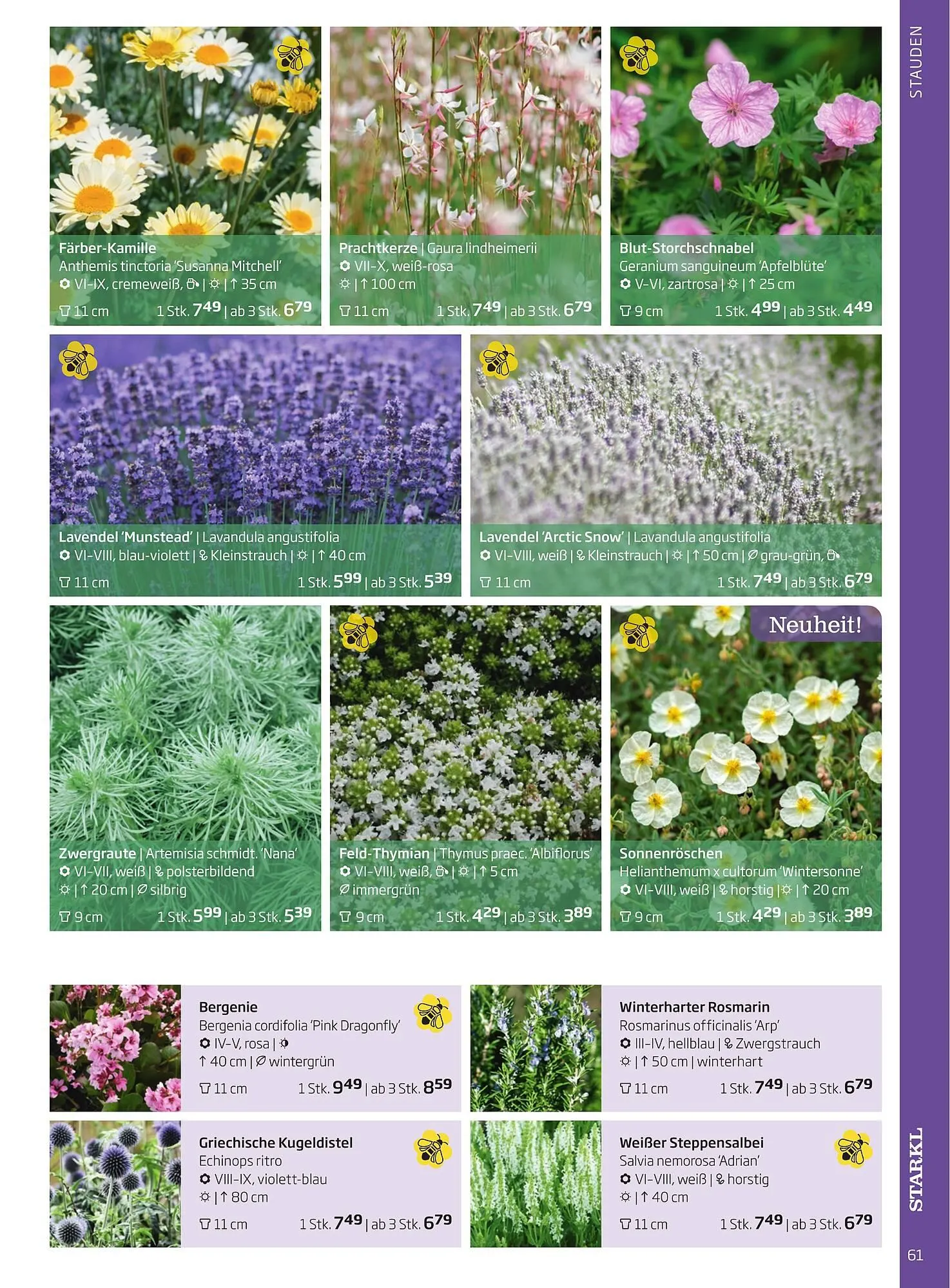 Starkl Flugblatt von 6. Juni bis 31. Dezember 2025 - Flugblätt seite  61