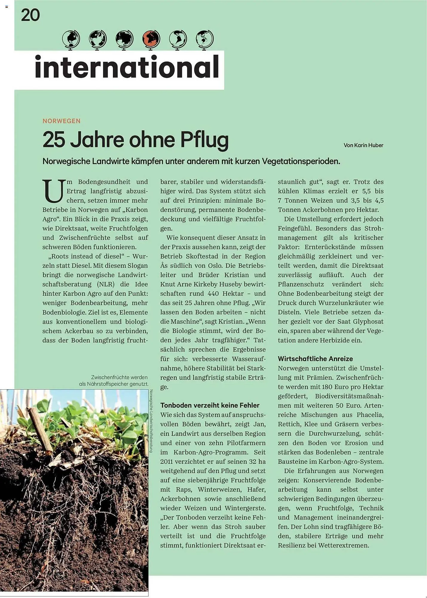 Lagerhaus Flugblatt von 1. Jänner bis 28. Februar 2026 - Flugblätt seite  20