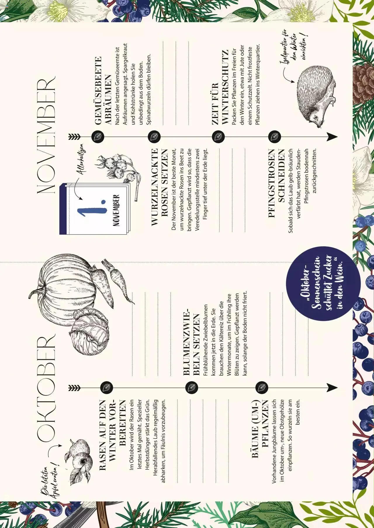 Dehner Flugblatt von 10. Oktober bis 31. Dezember 2023 - Flugblätt seite 52