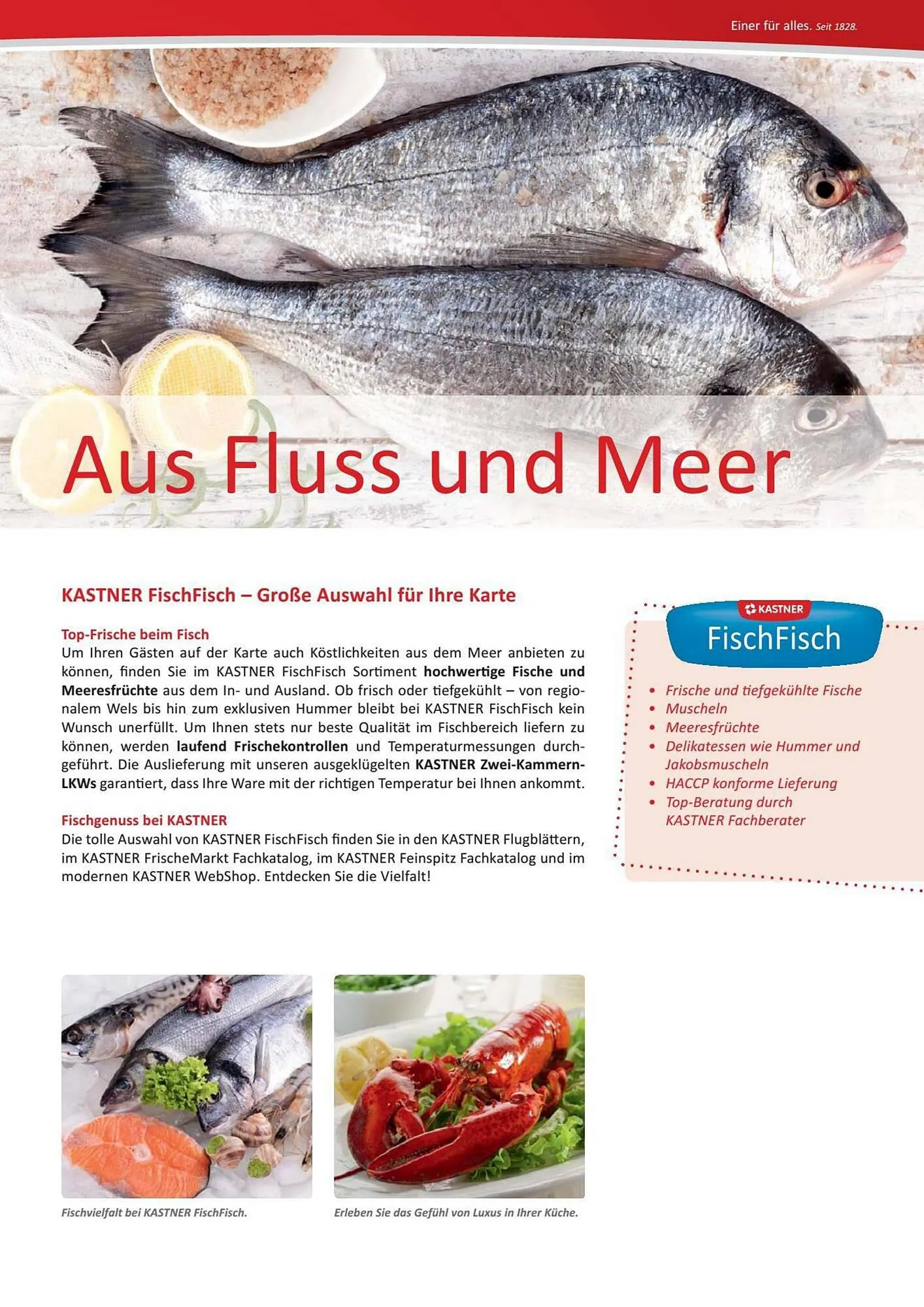 Kastner Flugblatt von 15. September bis 30. Dezember 2023 - Flugblätt seite 11