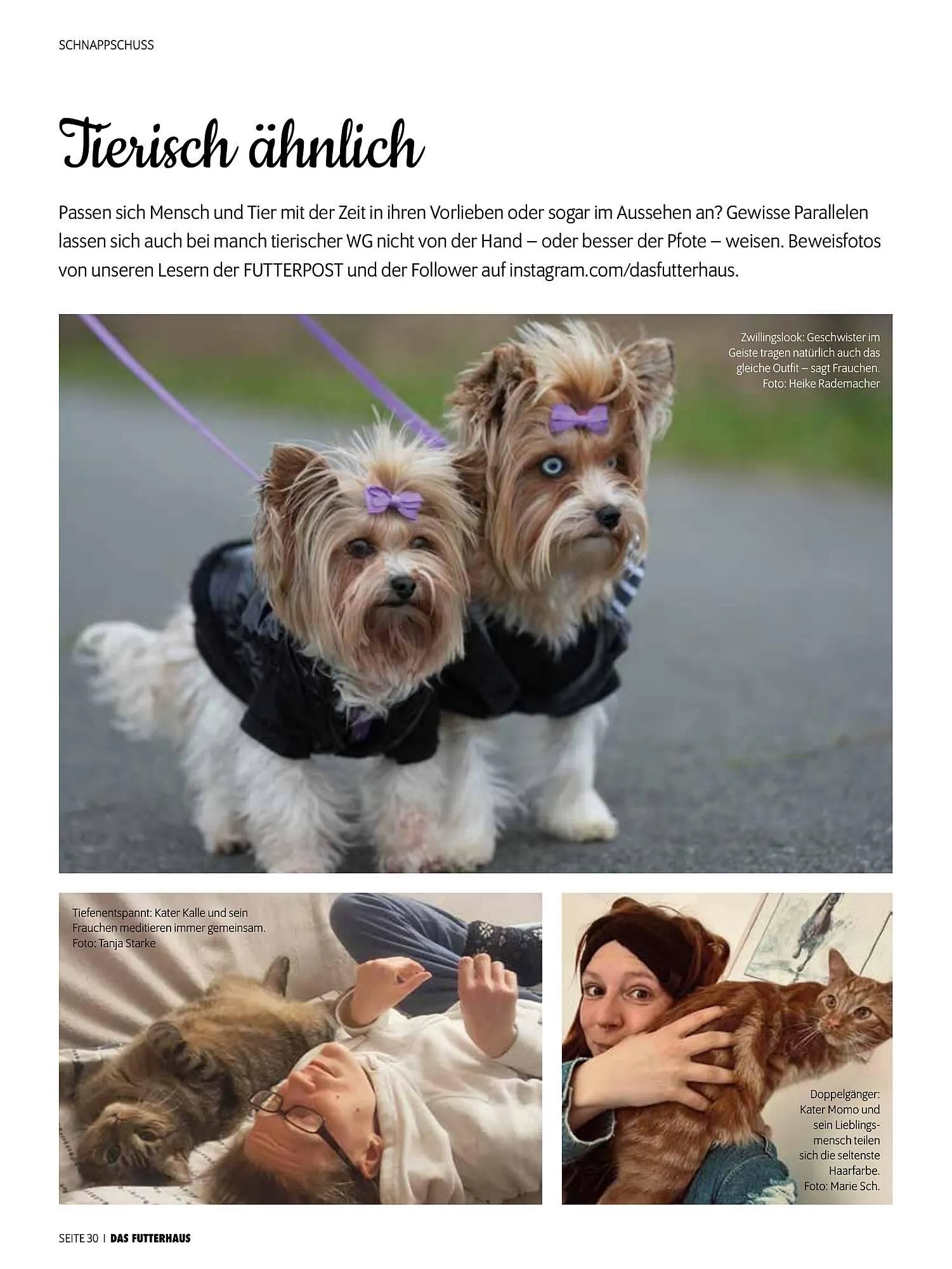 Das Futterhaus Prospekt von 16. Februar bis 8. März 2026 - Flugblätt seite 30