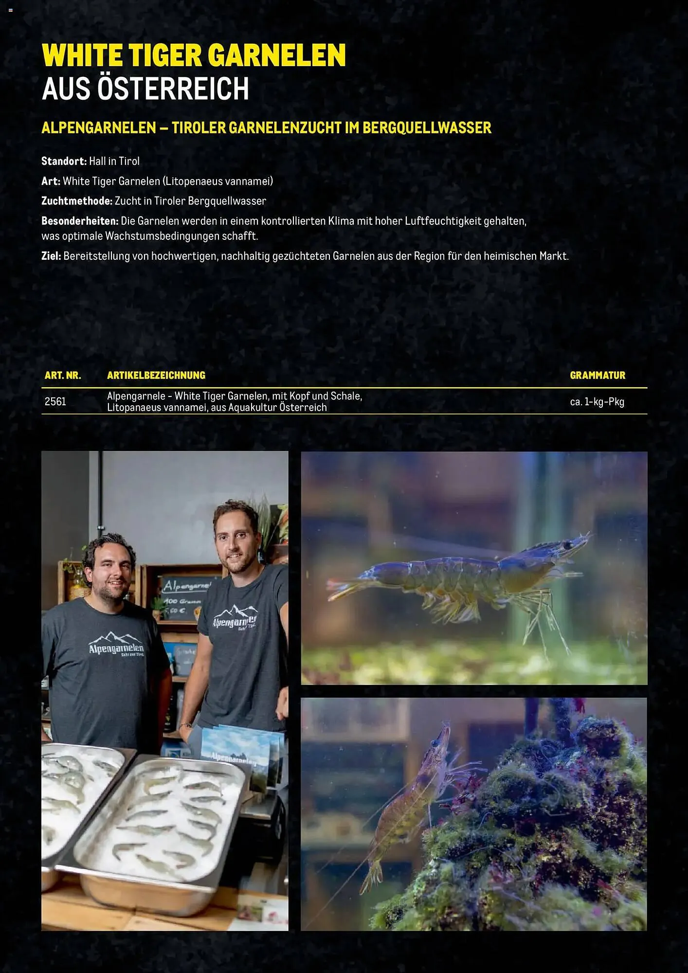 Metro Flugblatt von 27. November bis 31. Dezember 2025 - Flugblätt seite  13