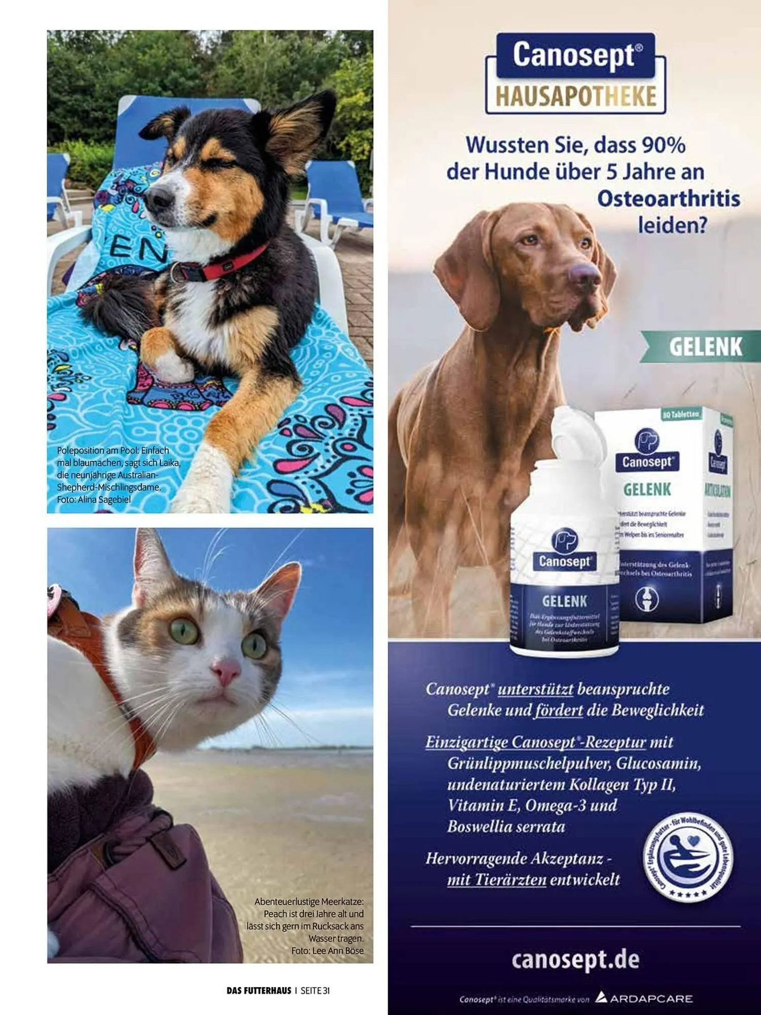 Das Futterhaus Flugblatt von 1. August bis 3. Oktober 2024 - Flugblätt seite 31