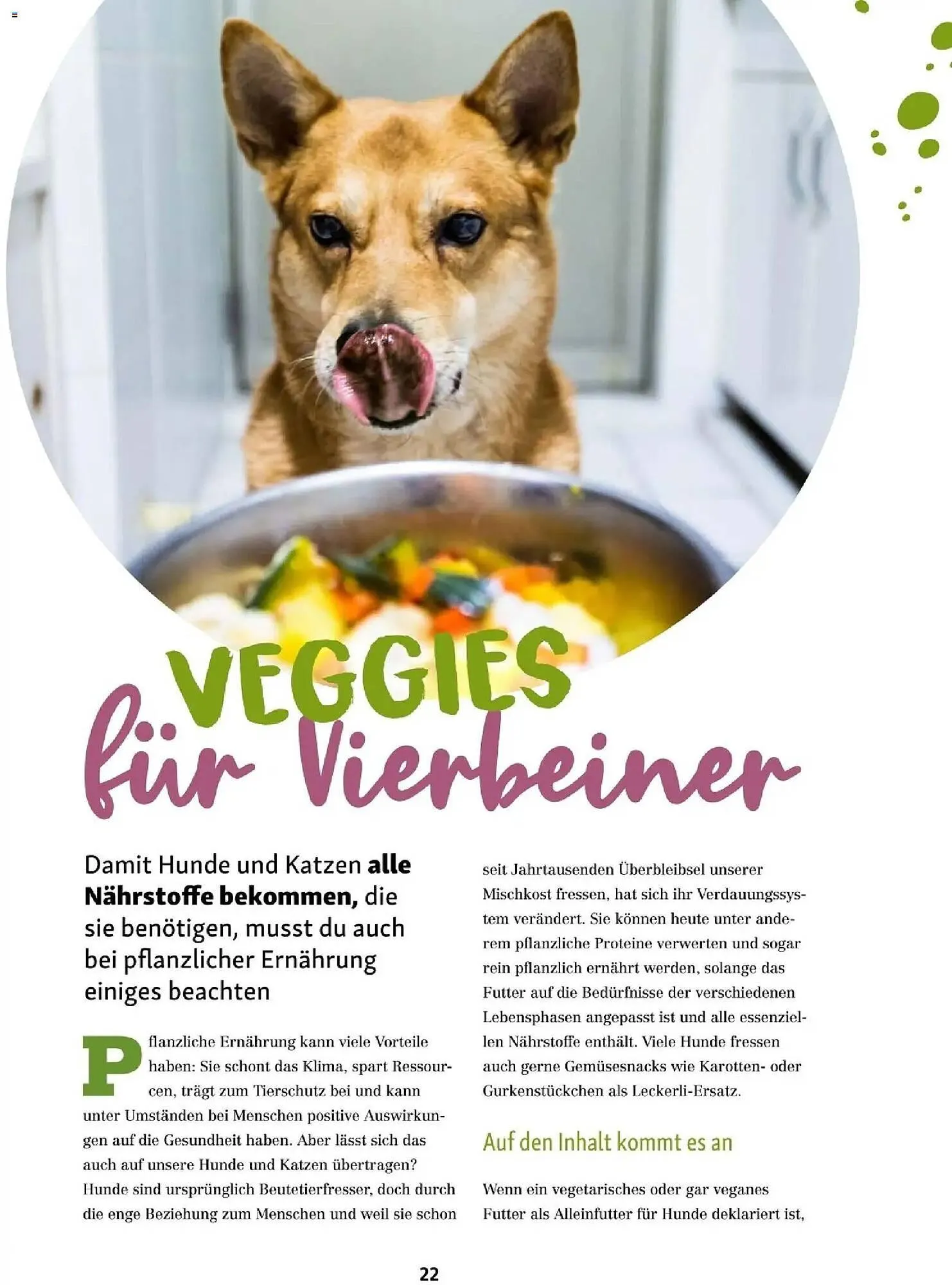 Fressnapf Flugblatt von 1. Jänner bis 28. Februar 2026 - Flugblätt seite  22