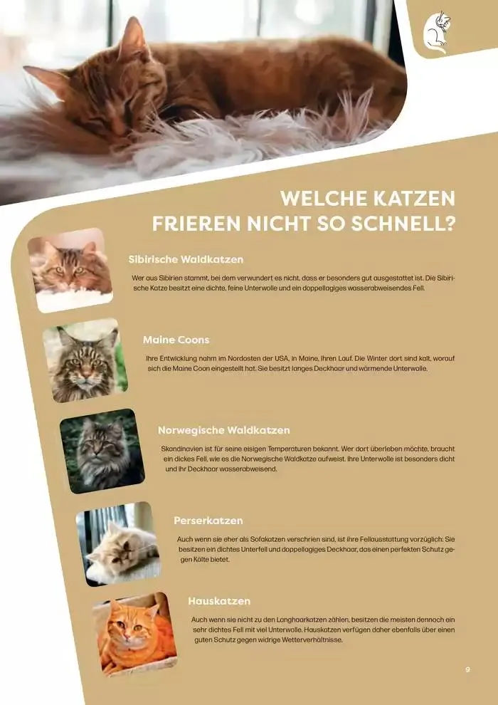 Angebote ZOO & Co von 29. November bis 13. Dezember 2024 - Flugblätt seite 9