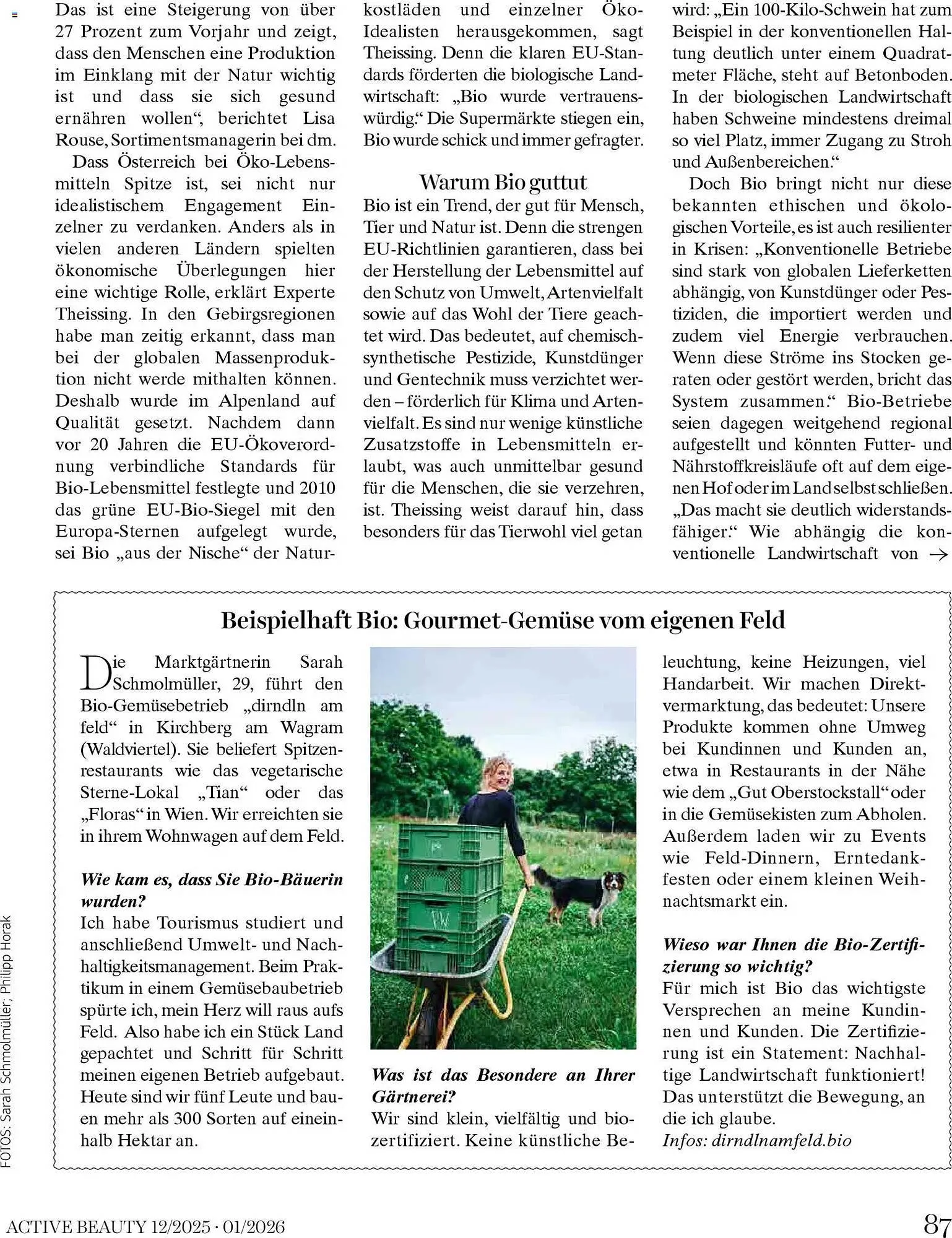 Dm Flugblatt von 1. Dezember bis 31. Jänner 2026 - Flugblätt seite  87