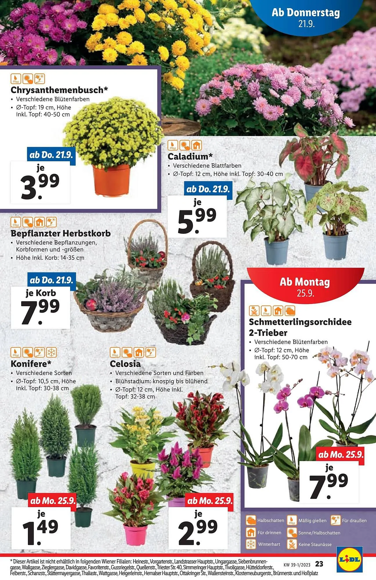 Lidl Flugblatt von 21. September bis 27. September 2023 - Flugblätt seite  23