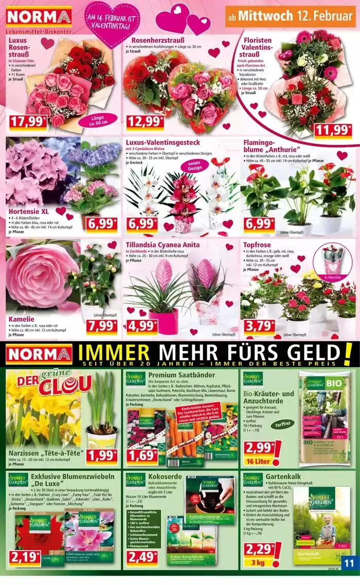 Große Auswahl an Angeboten von 10. Februar bis 14. Februar 2025 - Flugblätt seite 11