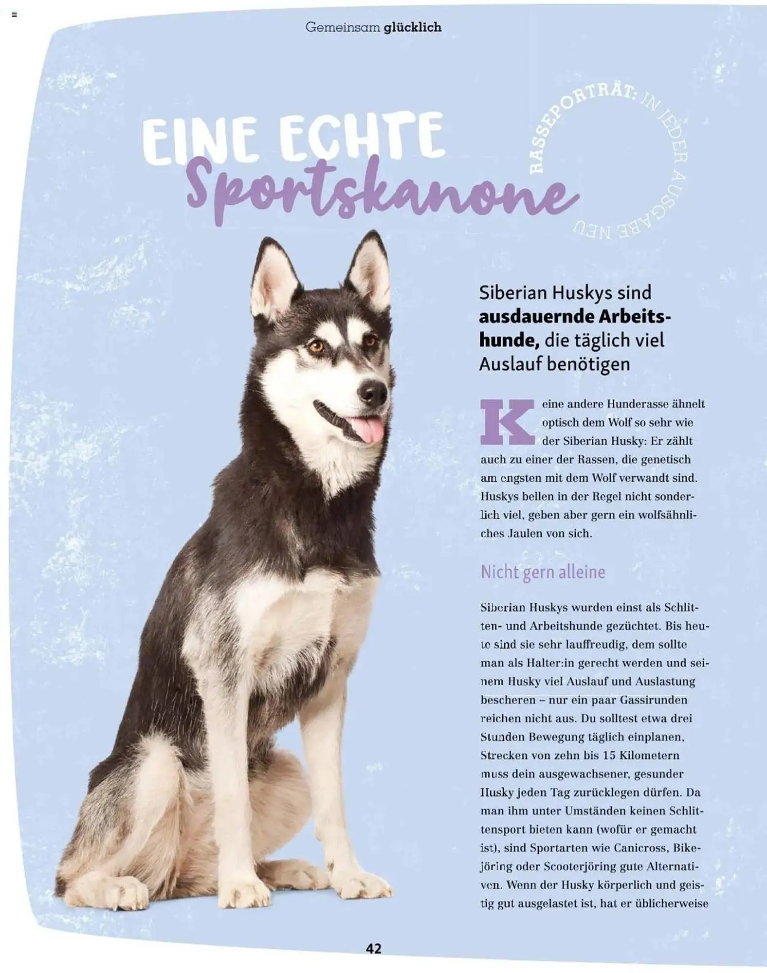 Fressnapf Flugblatt von 2. Jänner bis 2. März 2025 - Flugblätt seite 42