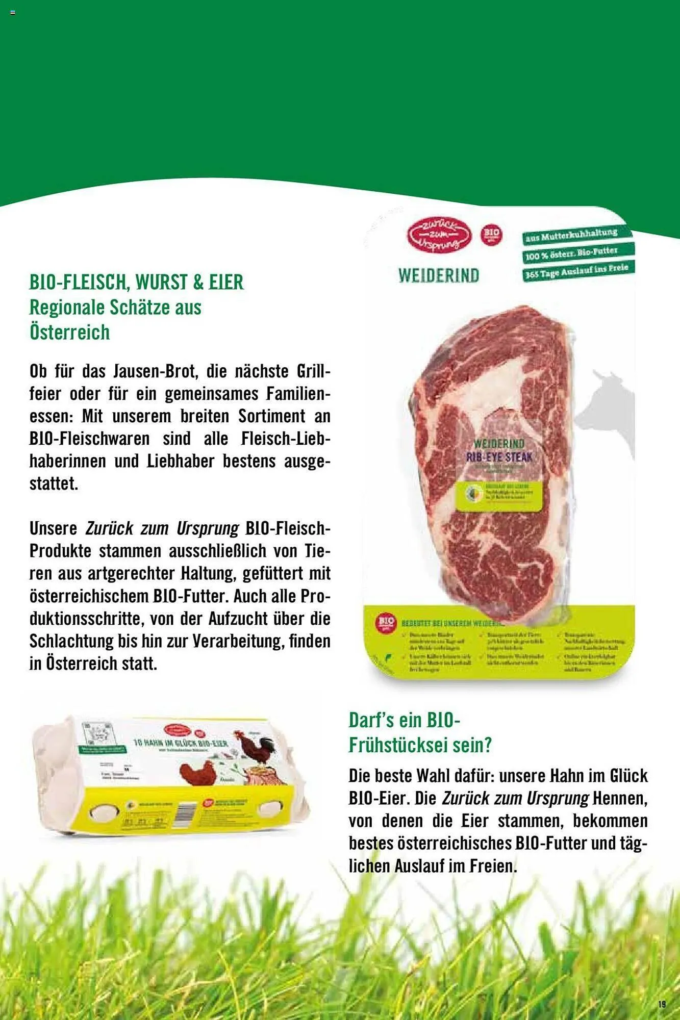 Hofer Flugblatt von 8. Oktober bis 4. März 2026 - Flugblätt seite  19