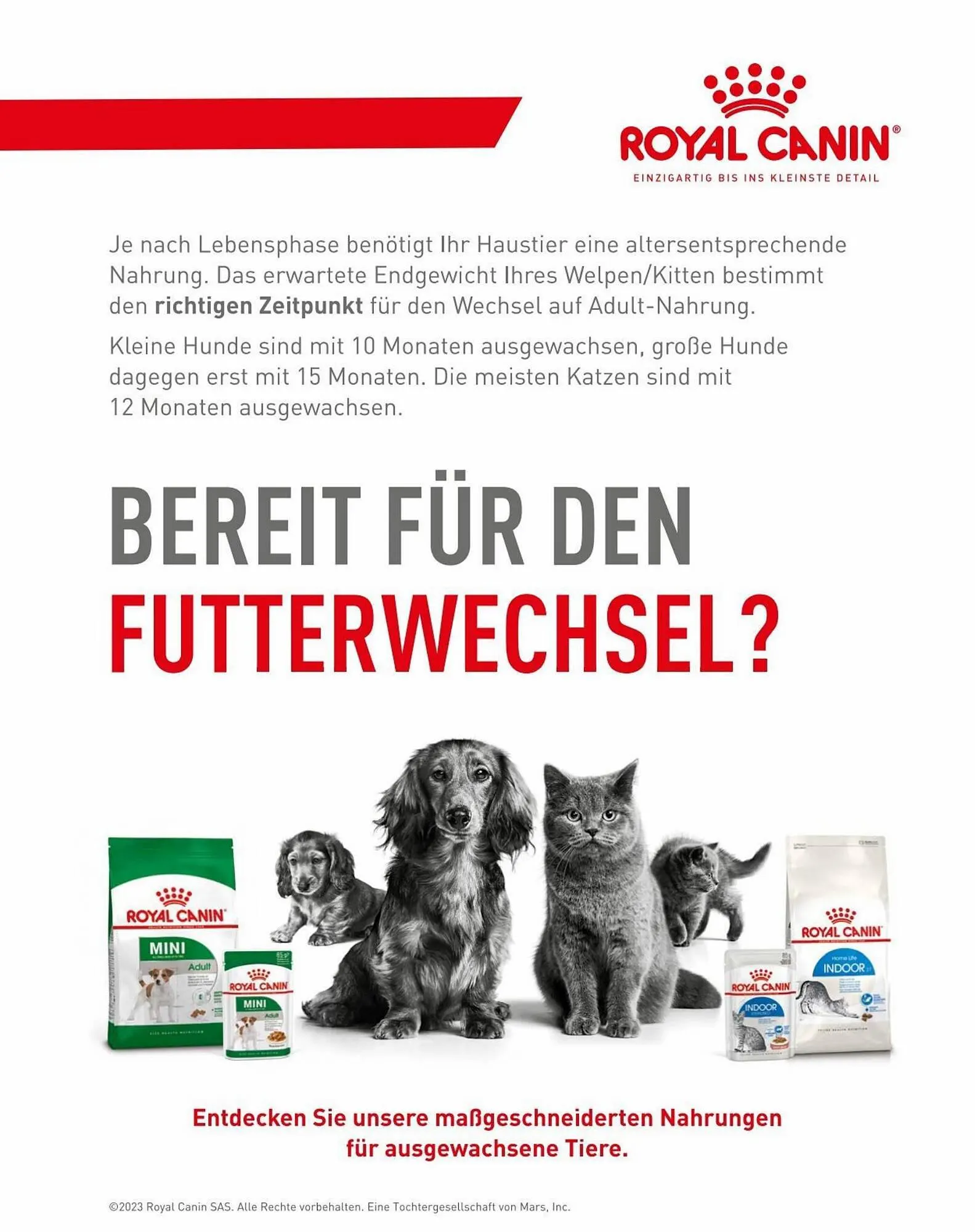 Fressnapf Flugblatt von 30. August bis 31. Oktober 2023 - Flugblätt seite 2