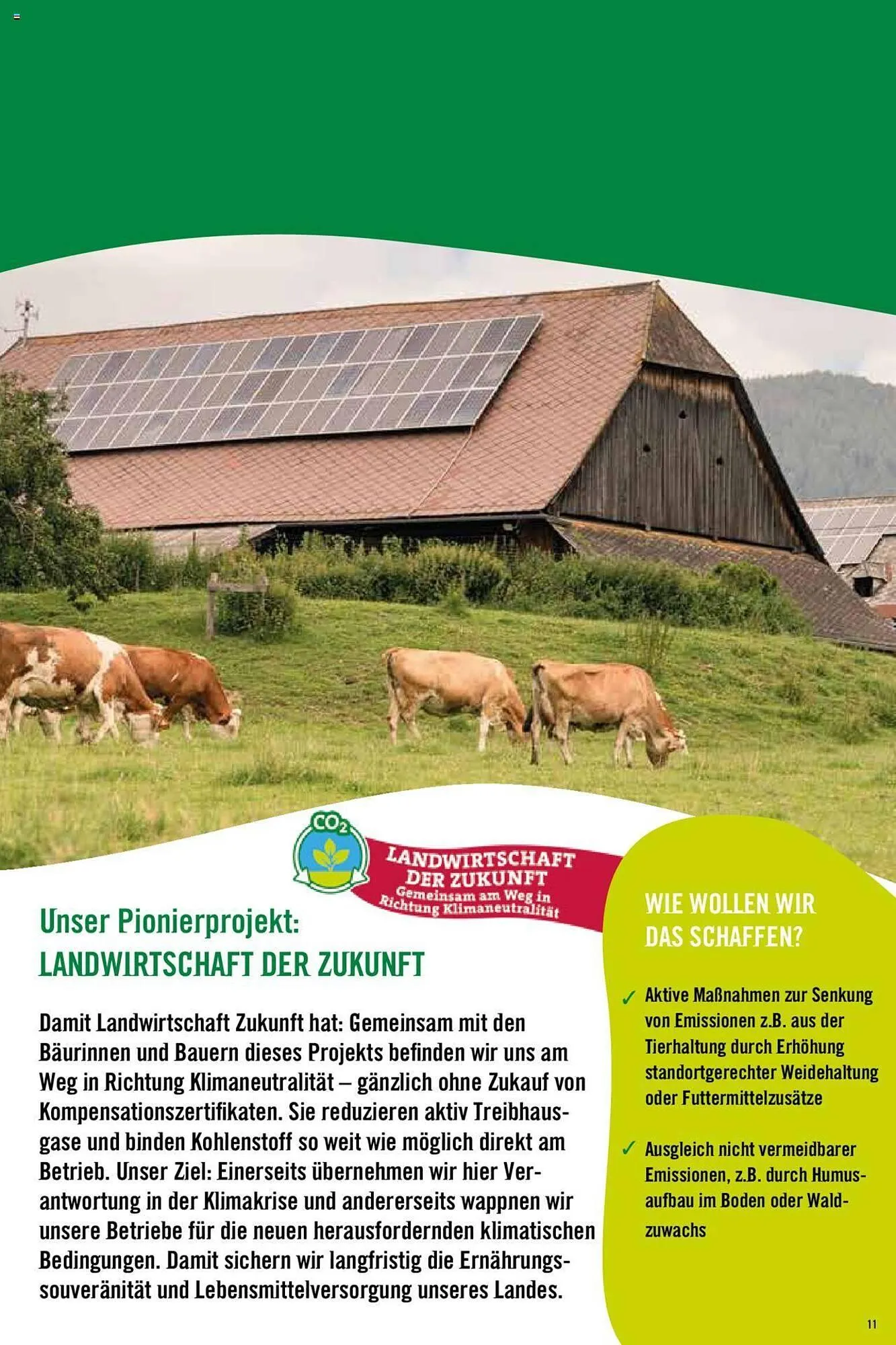 Hofer Flugblatt von 8. Oktober bis 4. März 2026 - Flugblätt seite  11