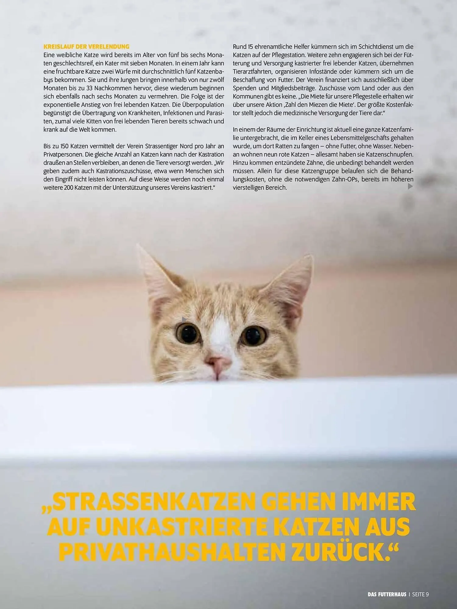 Das Futterhaus Flugblatt von 1. August bis 3. Oktober 2024 - Flugblätt seite 9