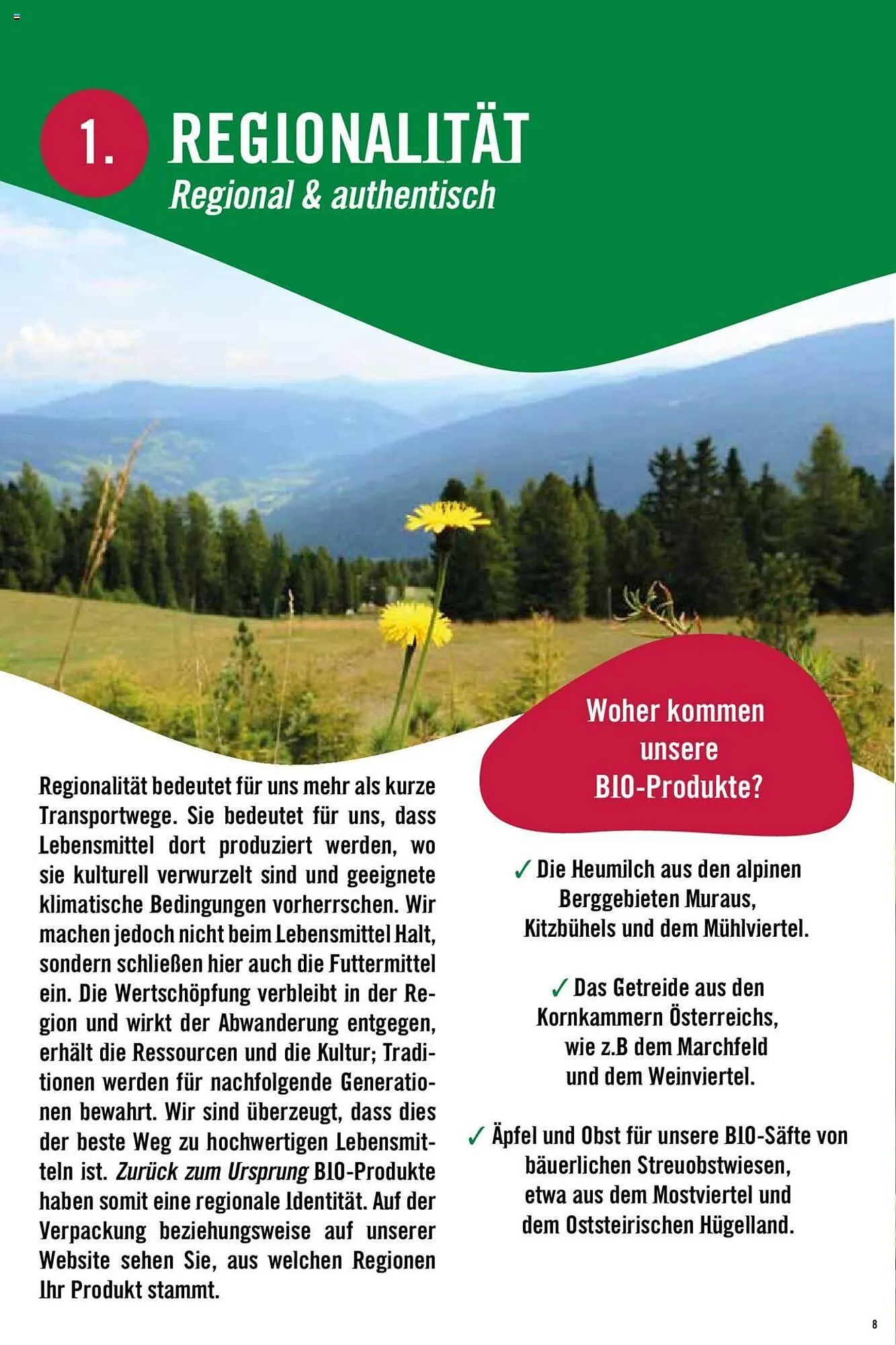 Hofer Flugblatt von 8. Oktober bis 4. März 2026 - Flugblätt seite  8
