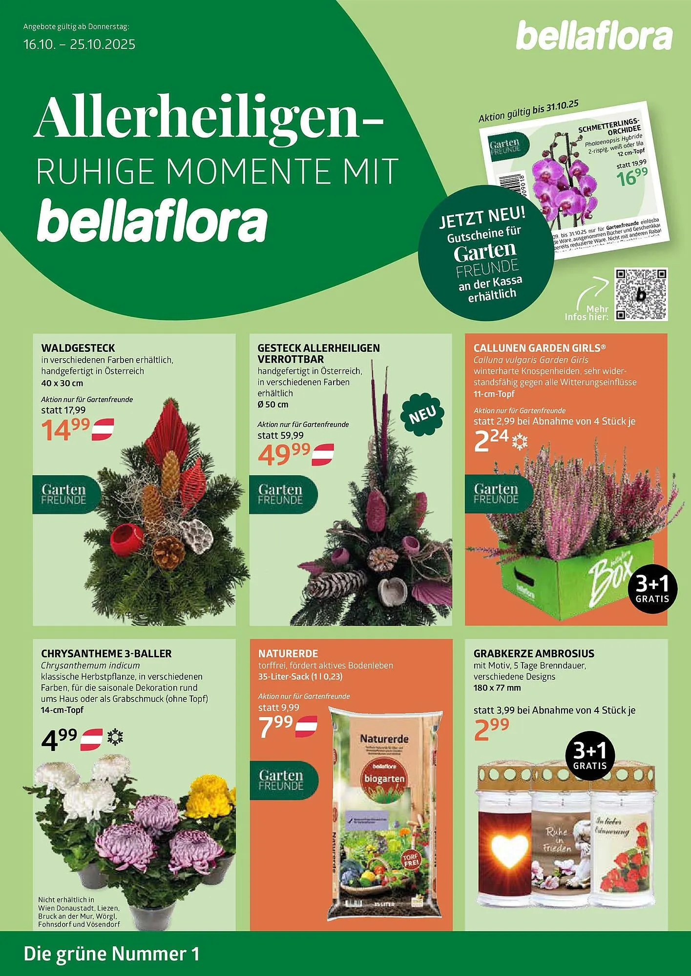 Bellaflora Flugblatt - 1