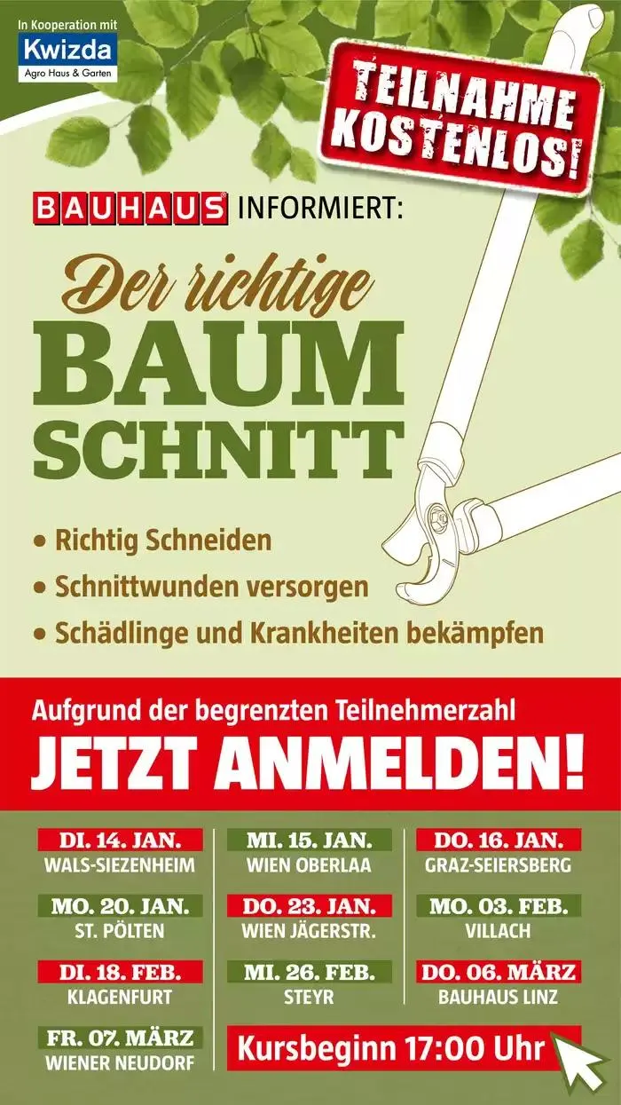 Bauhaus Angebote von 30. Jänner bis 28. Februar 2025 - Flugblätt seite 9