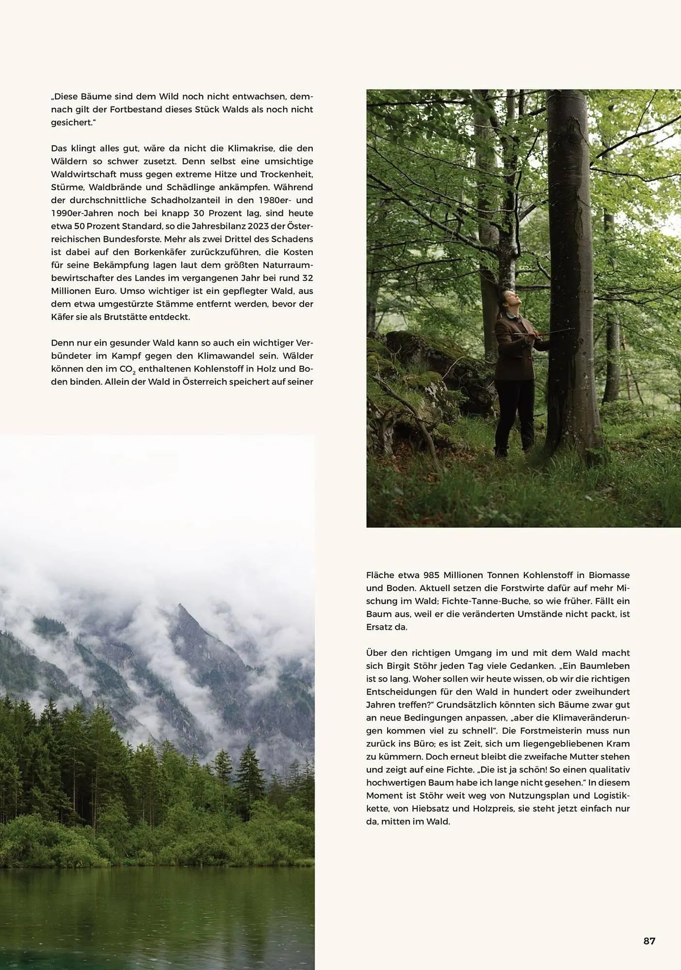 Grüne Erde Flugblatt von 31. Juli bis 31. Dezember 2025 - Flugblätt seite  87