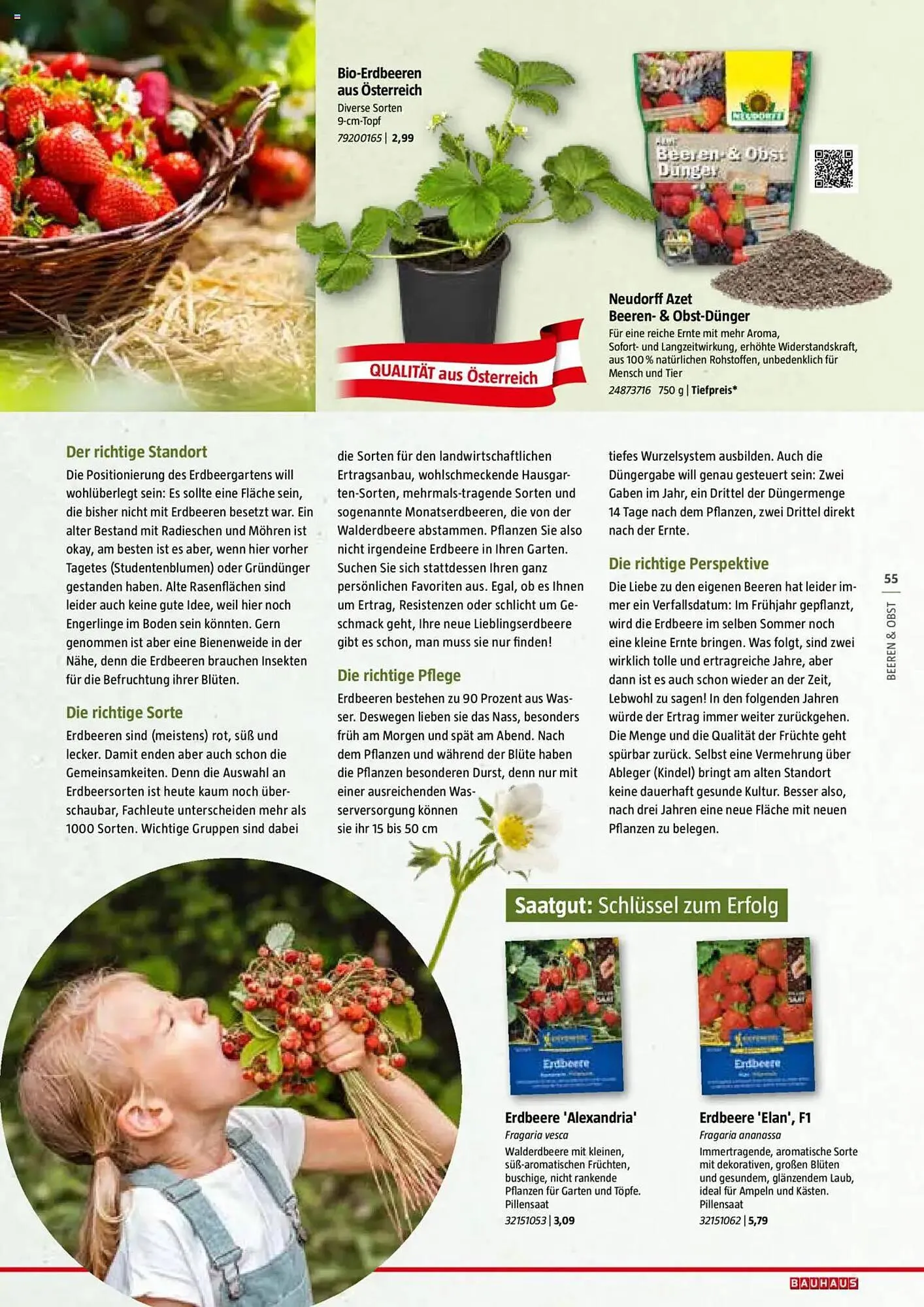 Bauhaus Flugblatt von 1. Juli bis 6. März 2026 - Flugblätt seite 55