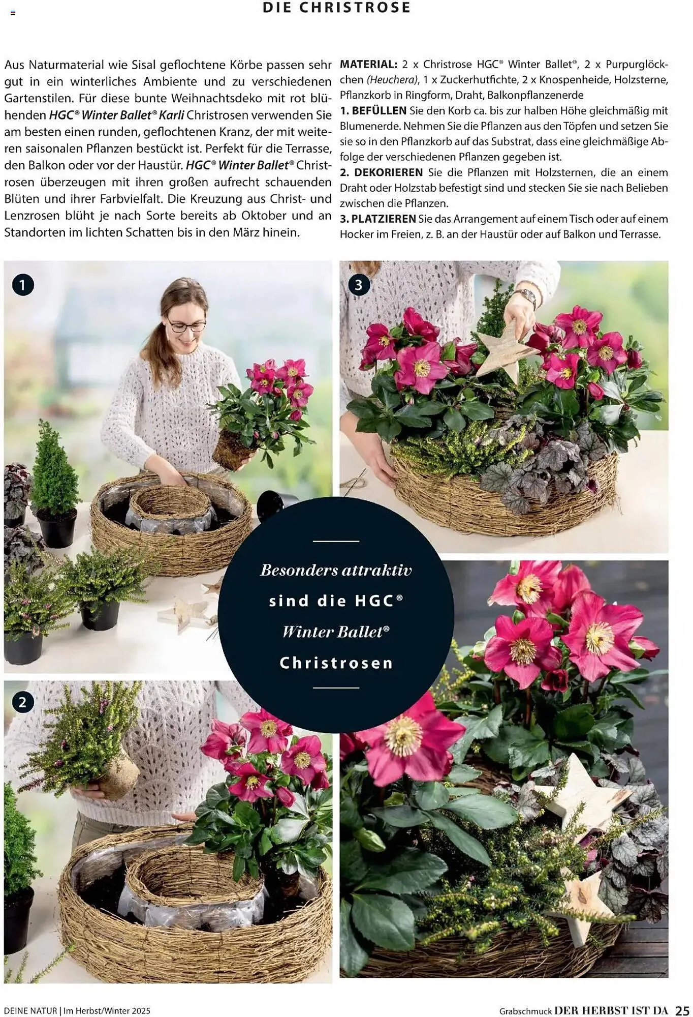 Dehner Flugblatt von 10. Oktober bis 30. November 2025 - Flugblätt seite  25