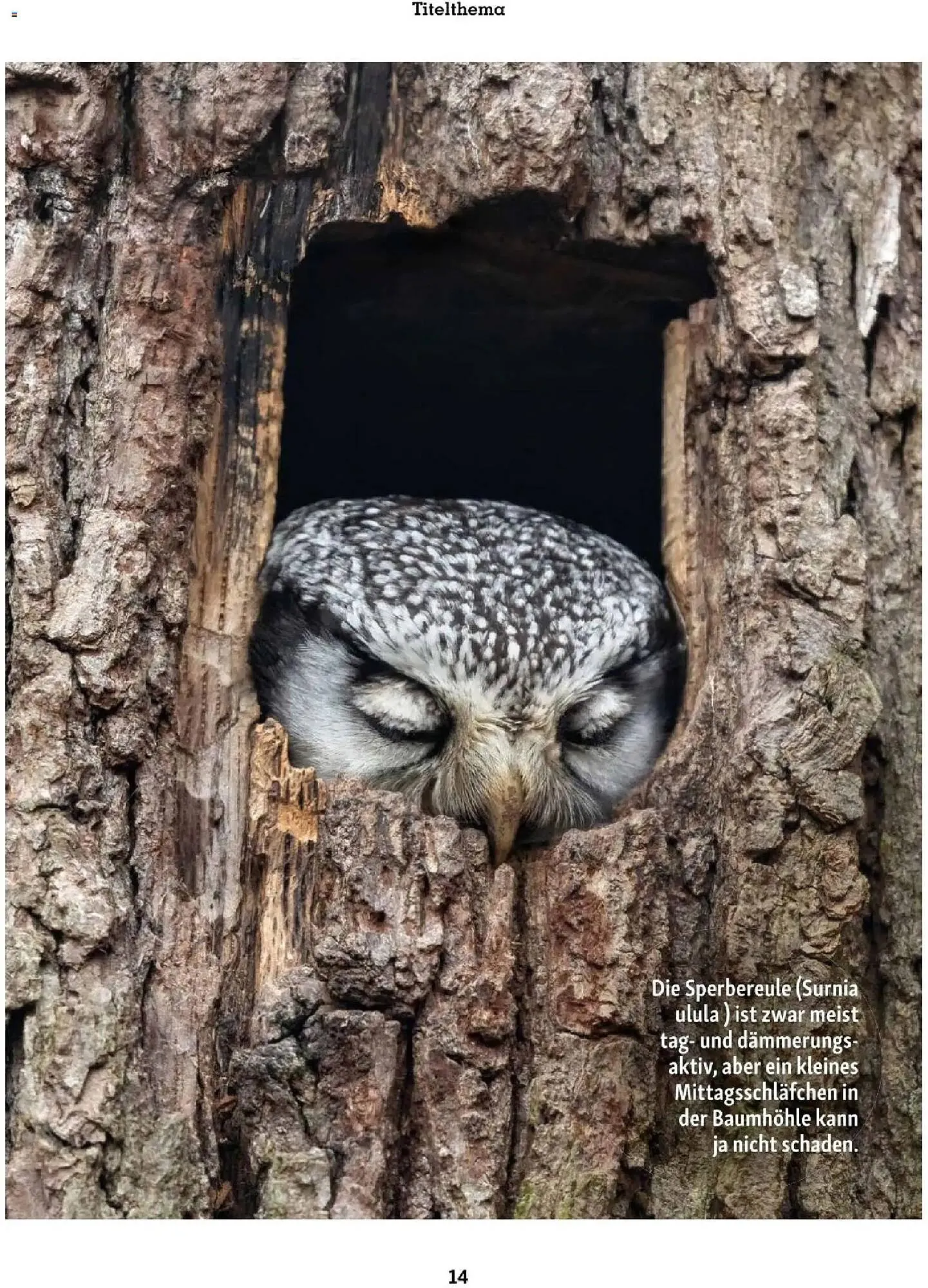 Fressnapf Flugblatt von 1. November bis 31. Dezember 2025 - Flugblätt seite  14