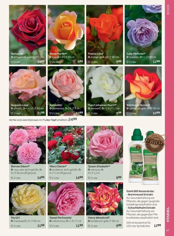 Gartencenter Jahreskatalog 2024 von 20. Mai bis 31. Dezember 2024 - Flugblätt seite 67