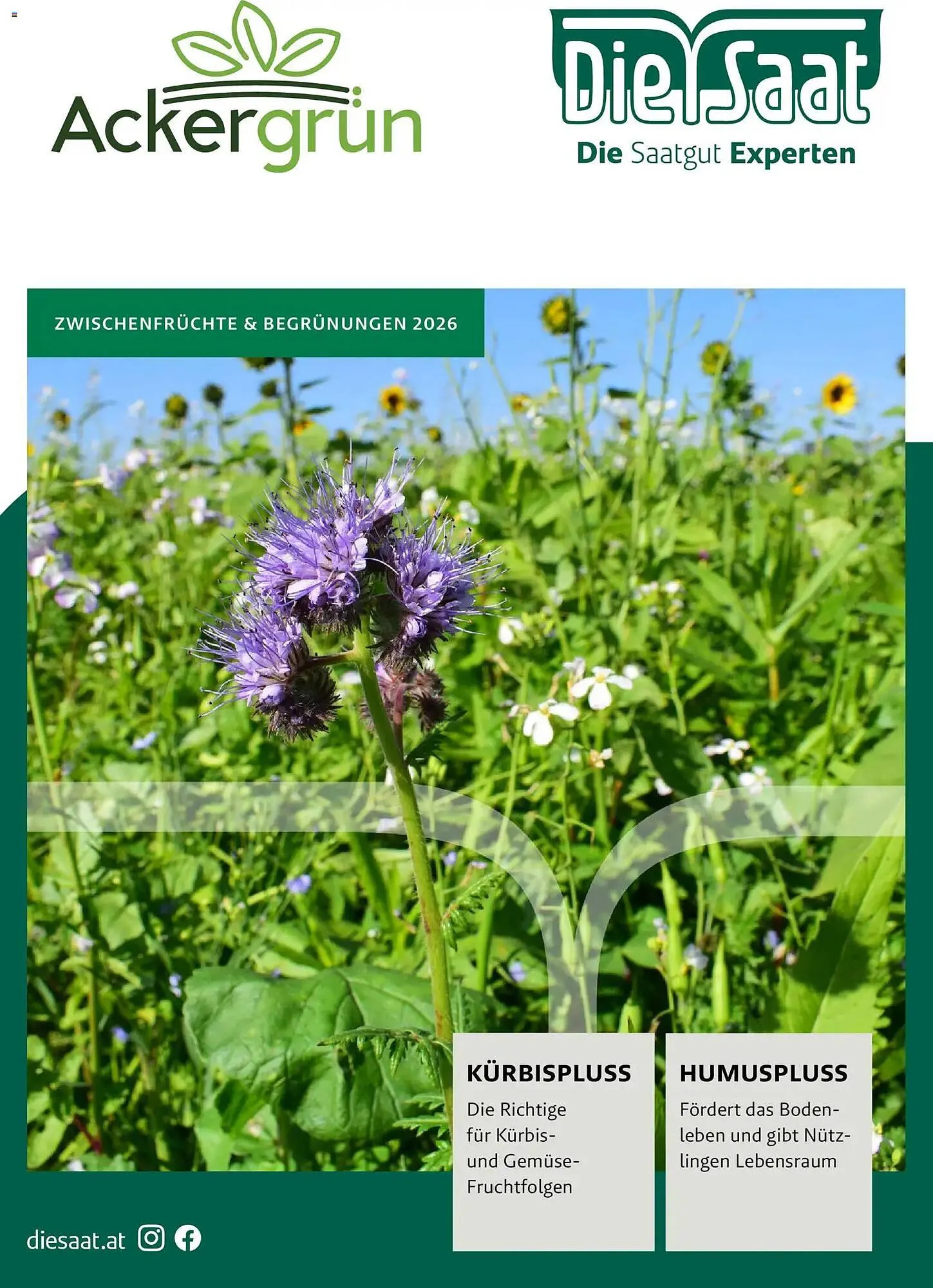 Lagerhaus Flugblatt von 26. März bis 26. September 2026 - Flugblätt seite  1