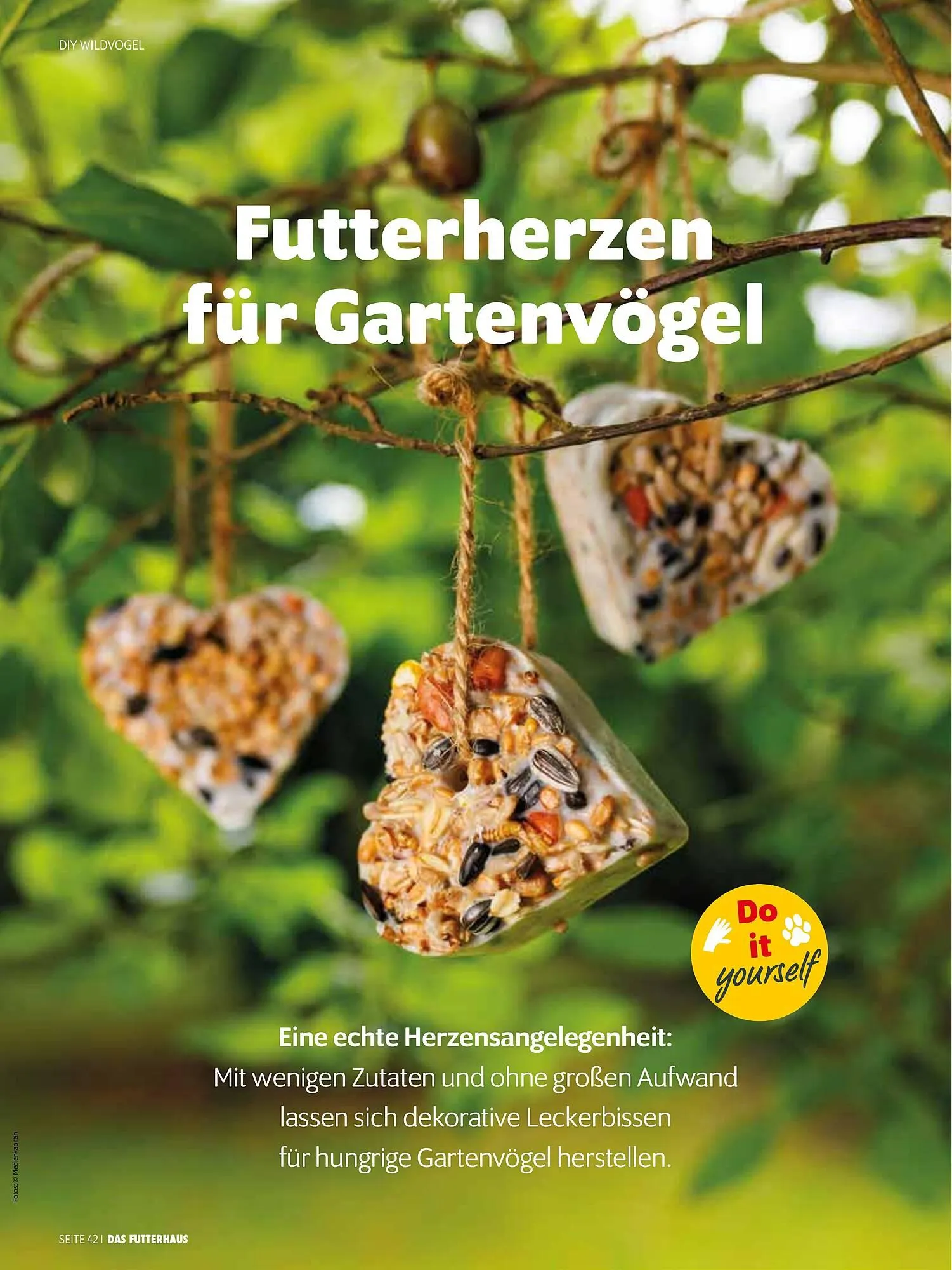 Das Futterhaus Prospekt von 17. Dezember bis 6. Jänner 2026 - Flugblätt seite 42