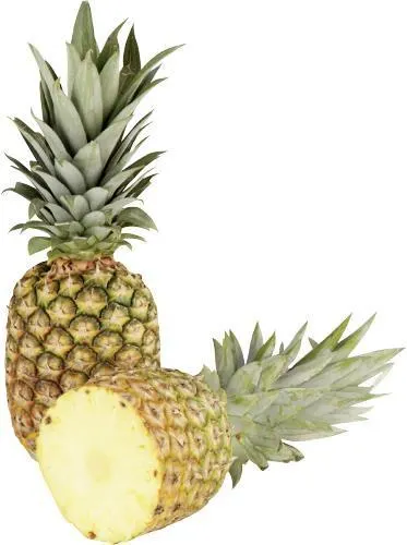 Ananas frisch Costa Rica