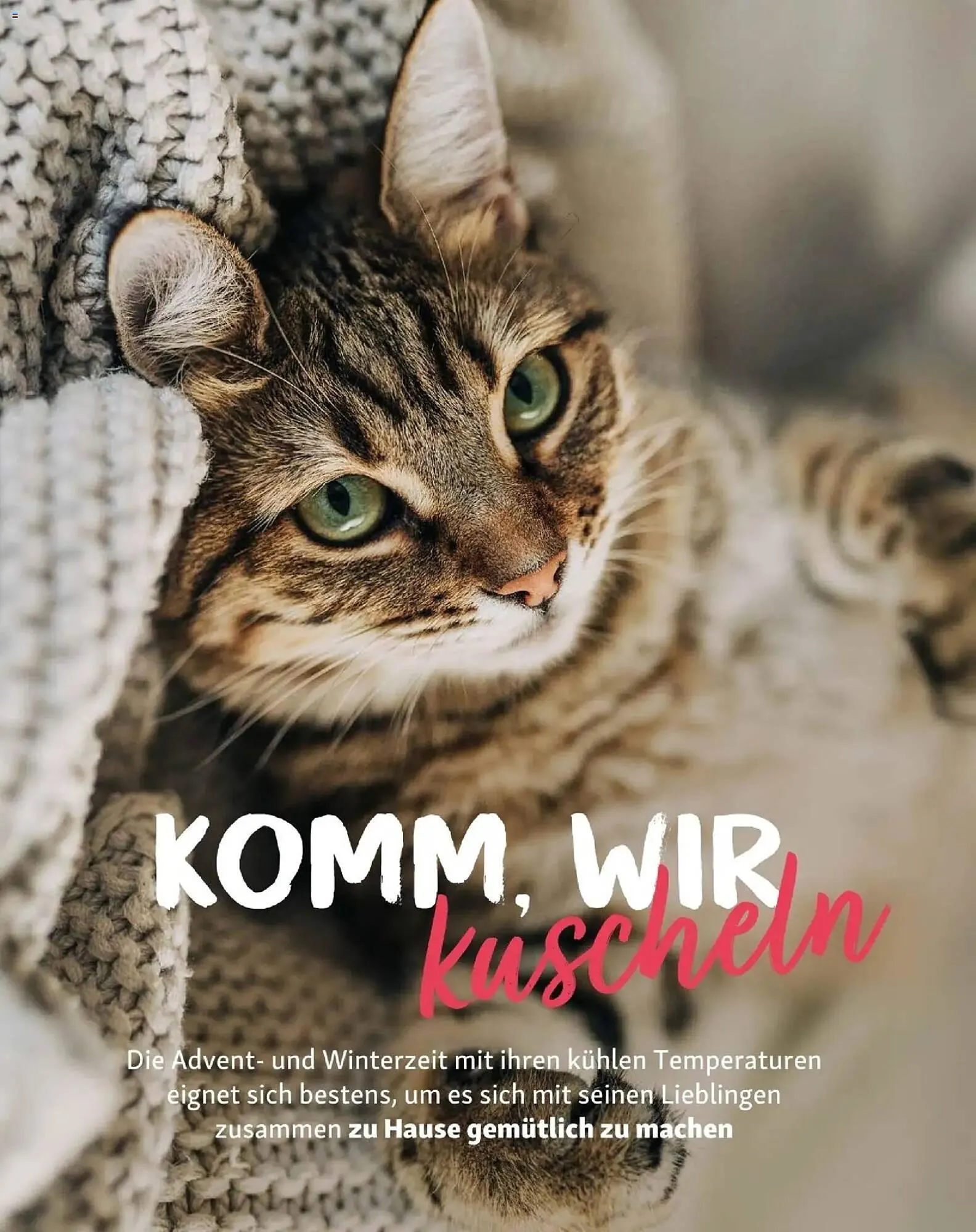 Fressnapf Flugblatt von 1. November bis 31. Dezember 2025 - Flugblätt seite 10