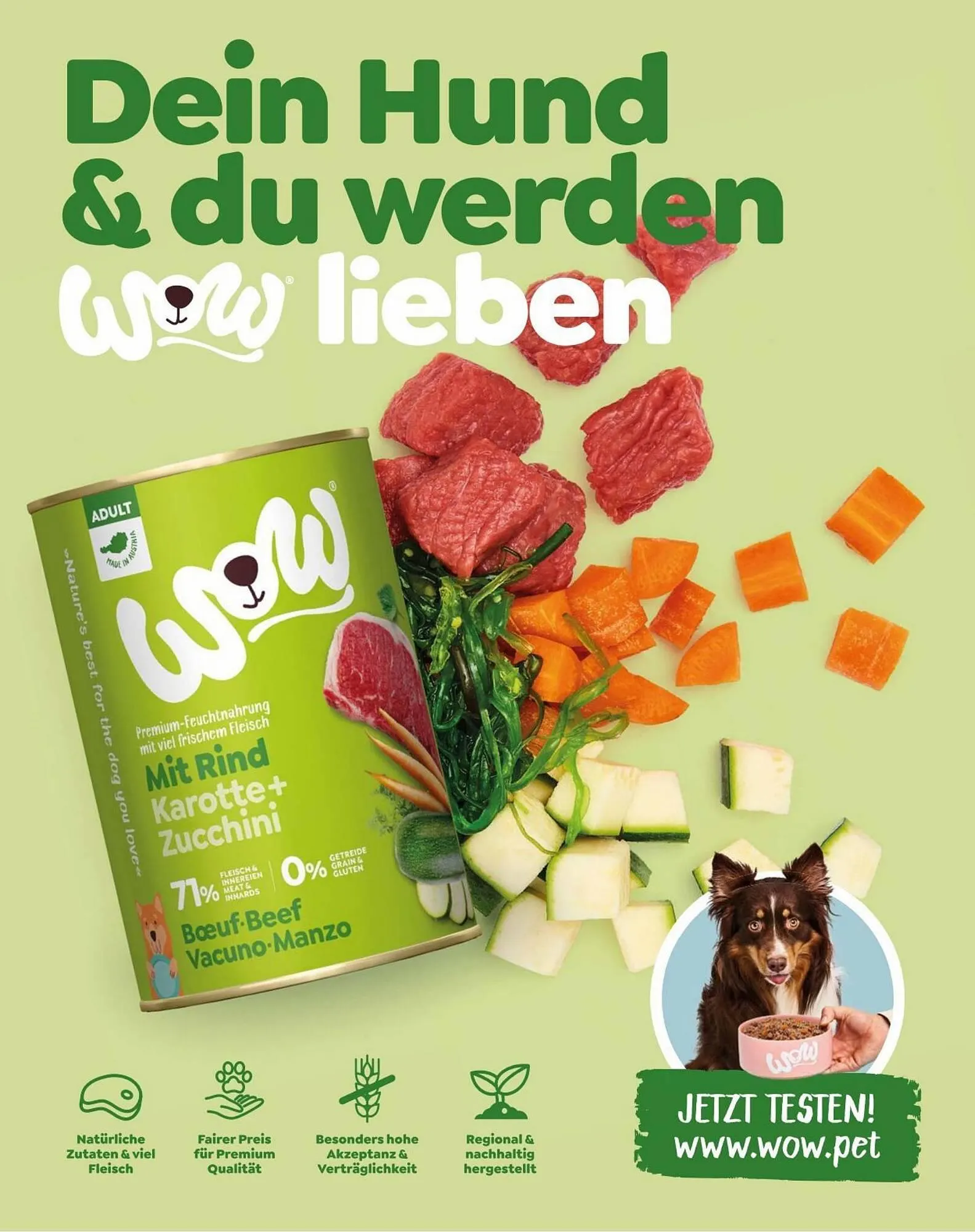 Fressnapf Flugblatt von 30. August bis 31. Oktober 2023 - Flugblätt seite 39