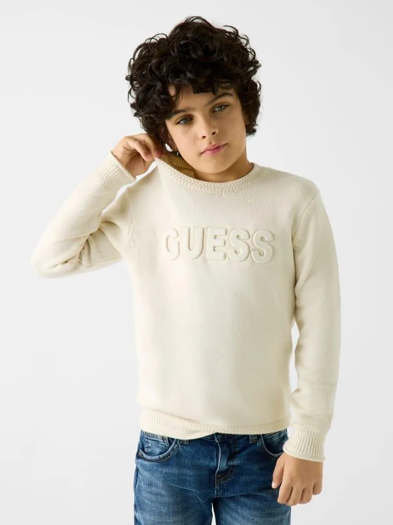 Pullover mit Logostickerei