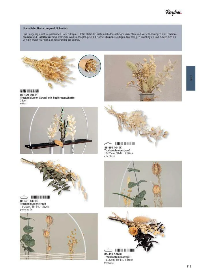 NEUER KATALOG 2024 von 23. Februar bis 31. Dezember 2024 - Flugblätt seite 119