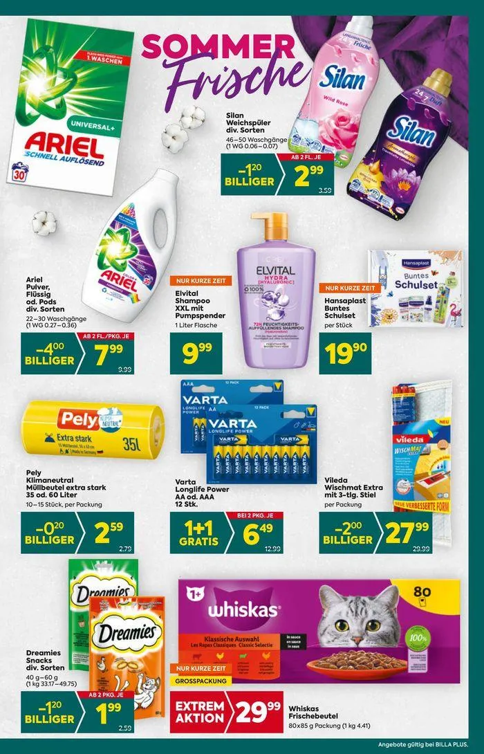 BILLA PLUS Flugblatt von 29. August bis 12. September 2024 - Flugblätt seite 15