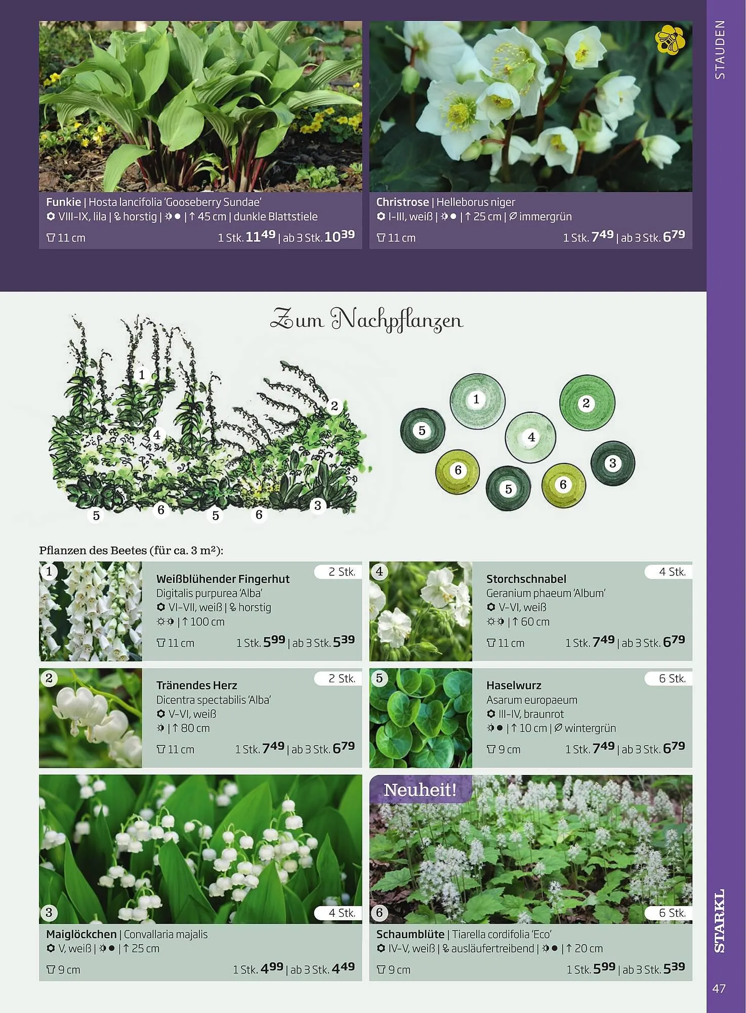Starkl Flugblatt von 1. April bis 31. Dezember 2024 - Flugblätt seite  47