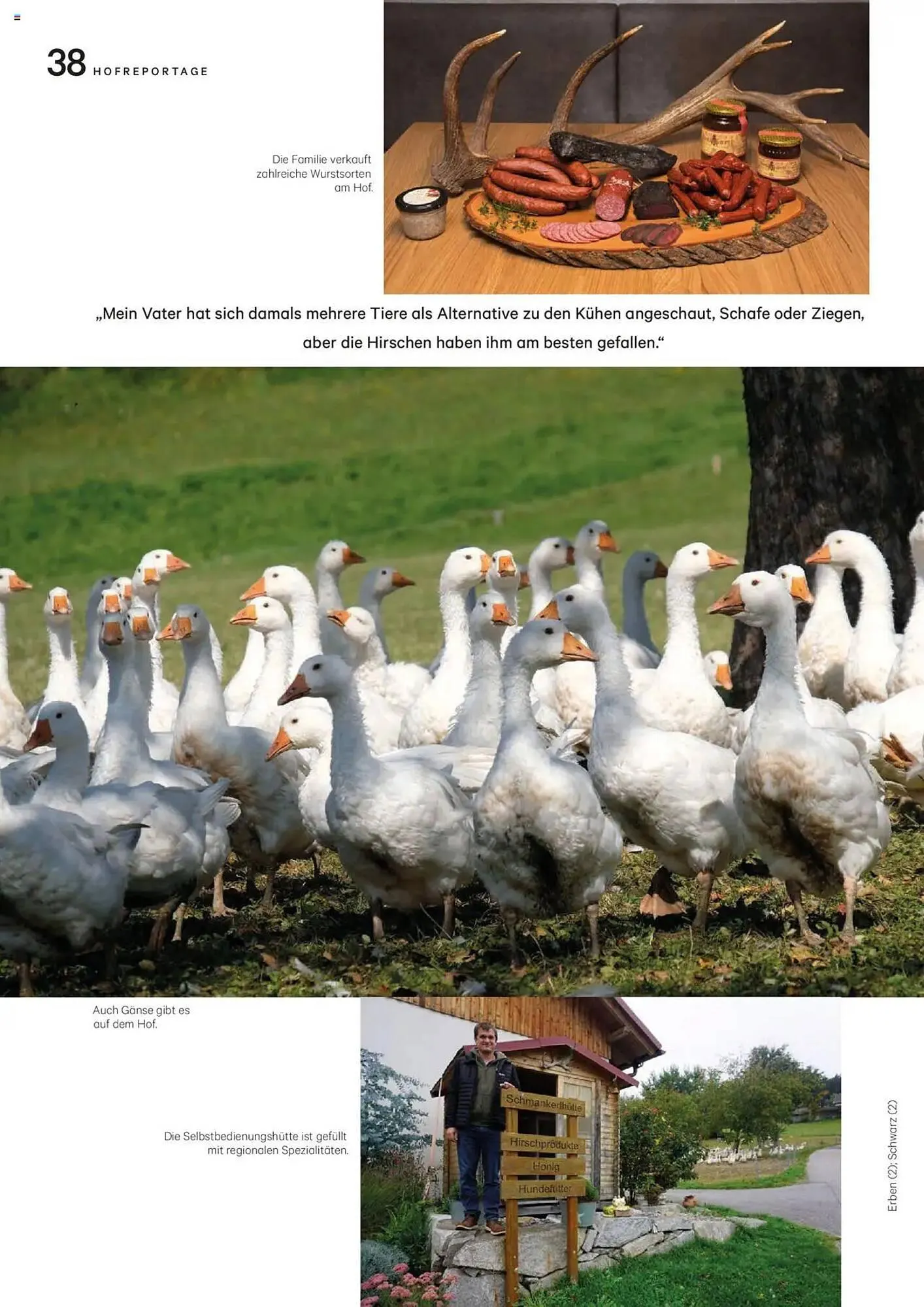 Lagerhaus Flugblatt von 1. November bis 30. November 2025 - Flugblätt seite  38